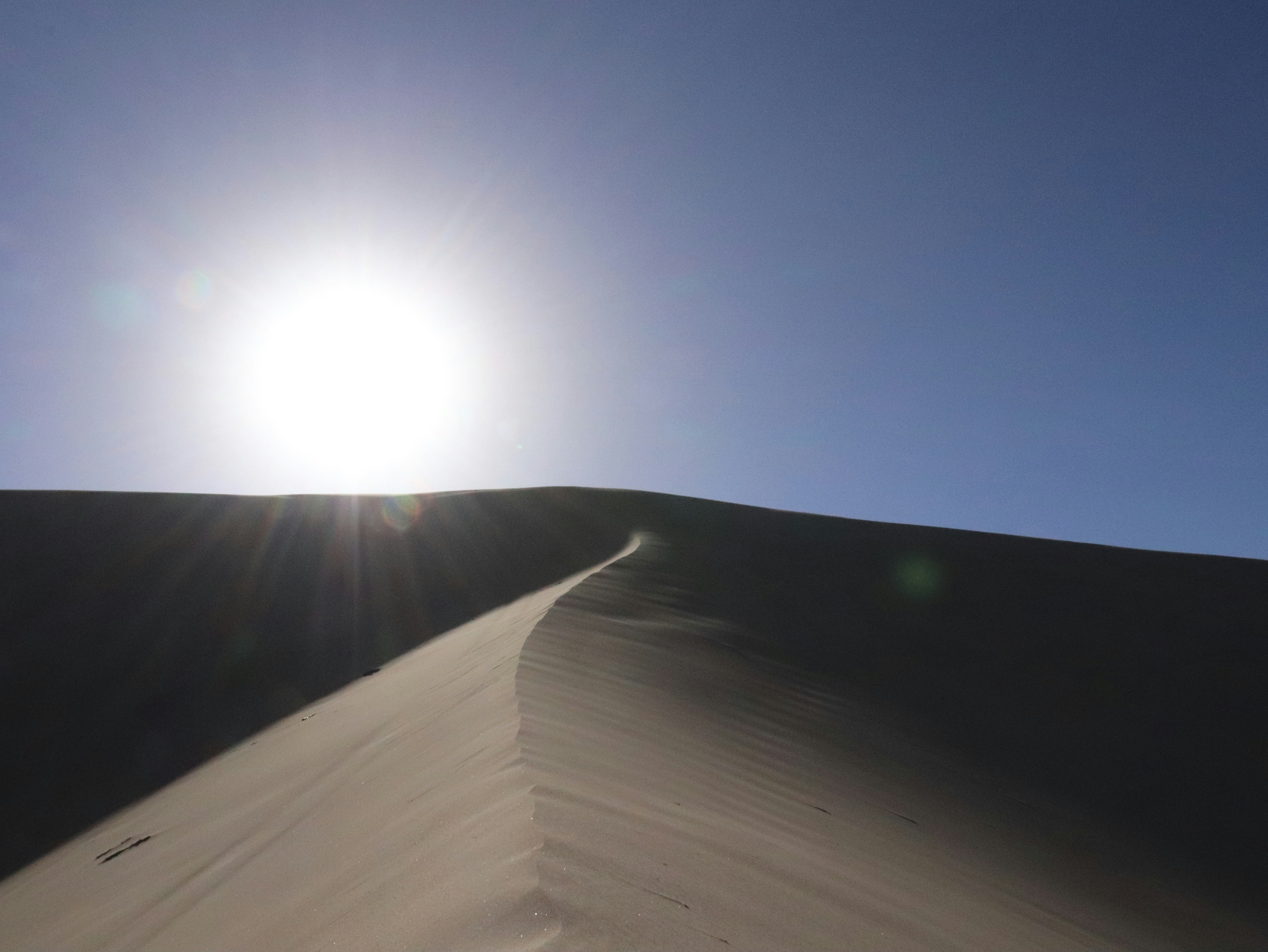 Photo by paulorobles