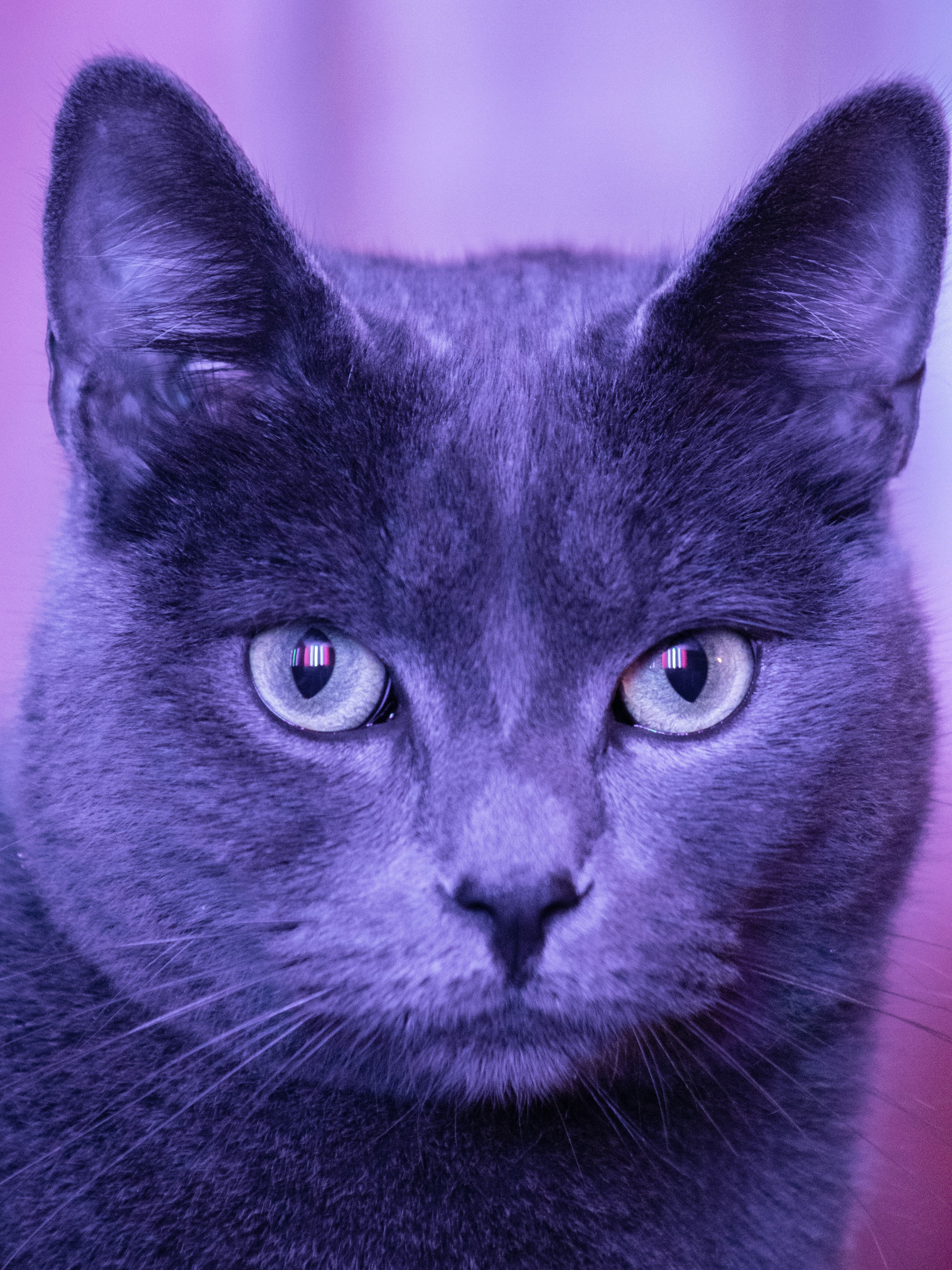 Photo by paulorobles