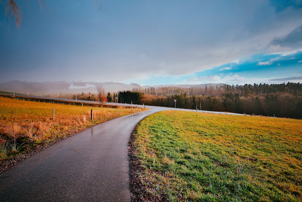 a path winds through a grassy field near a road