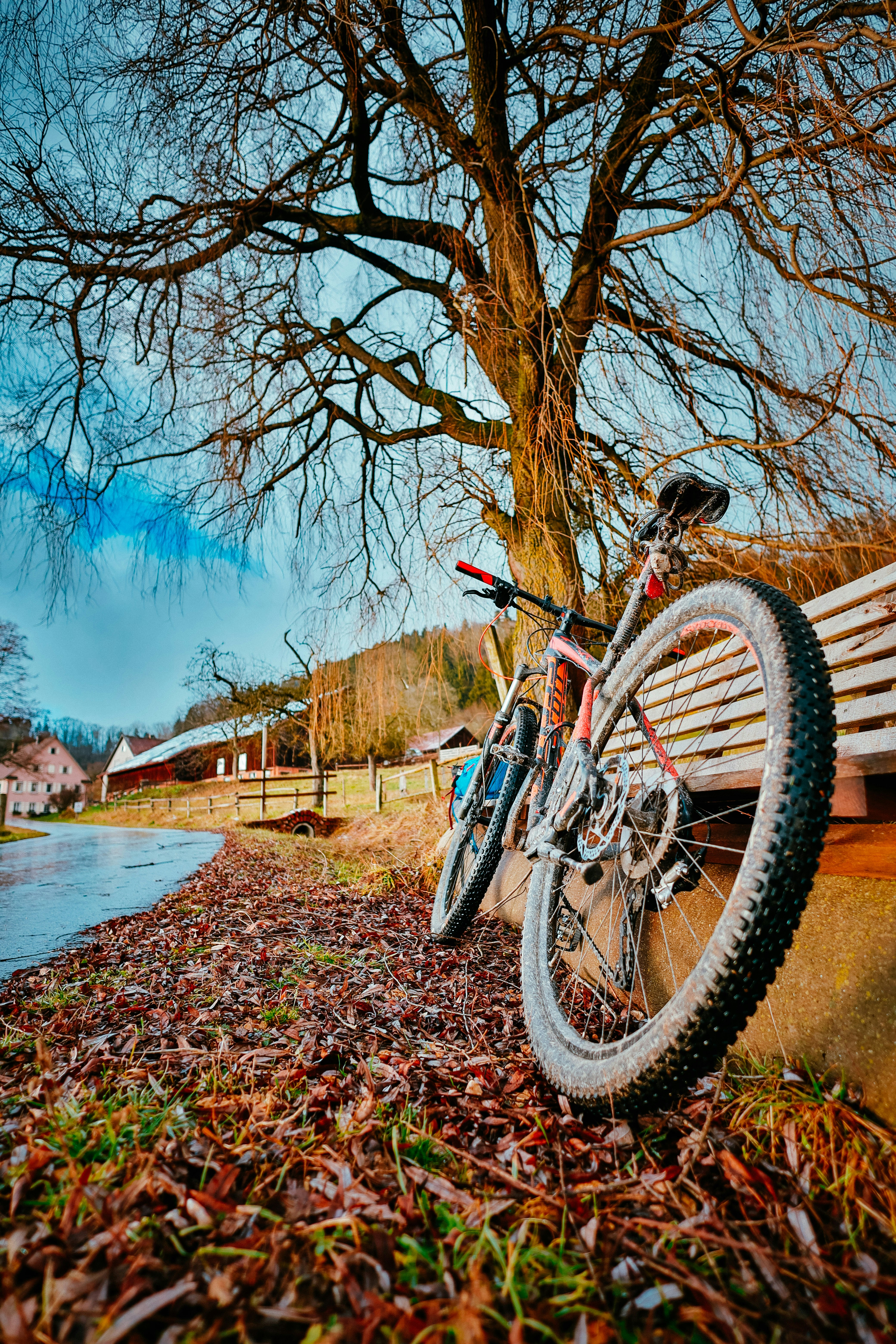 Photo by migelon