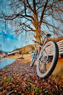a bike leaning against a bench next to a tree