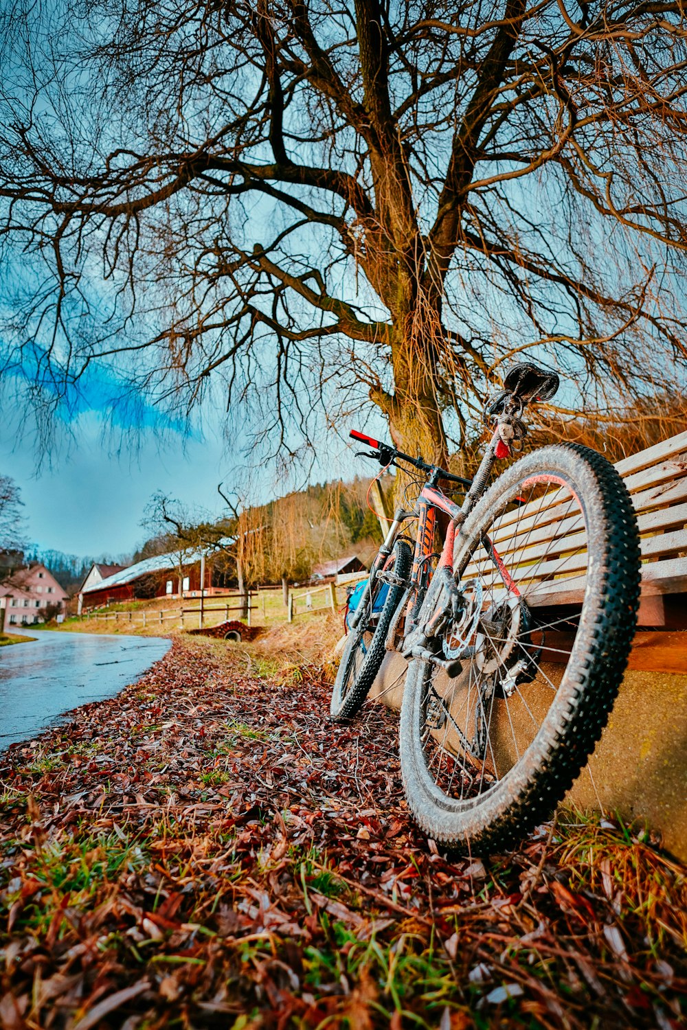 a bike leaning against a bench next to a tree