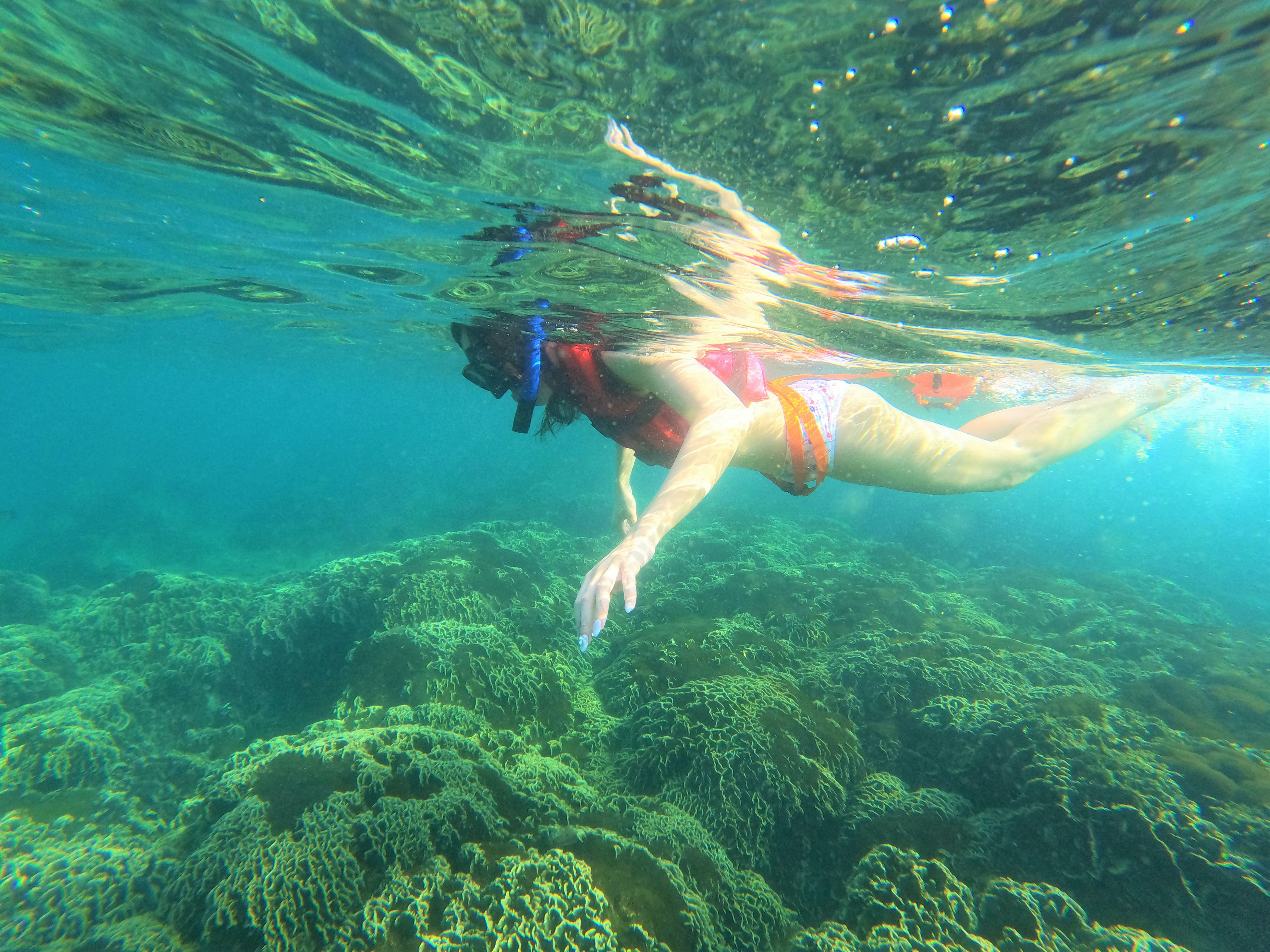 a woman in a bikini swims in the ocean, A girl exploring the Coral Mountain (located at Crystal reef) on her snorkeling trip in Phu Quoc Island, Vietnam