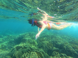 a woman in a bikini swims in the ocean