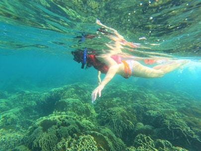 a woman in a bikini swims in the ocean