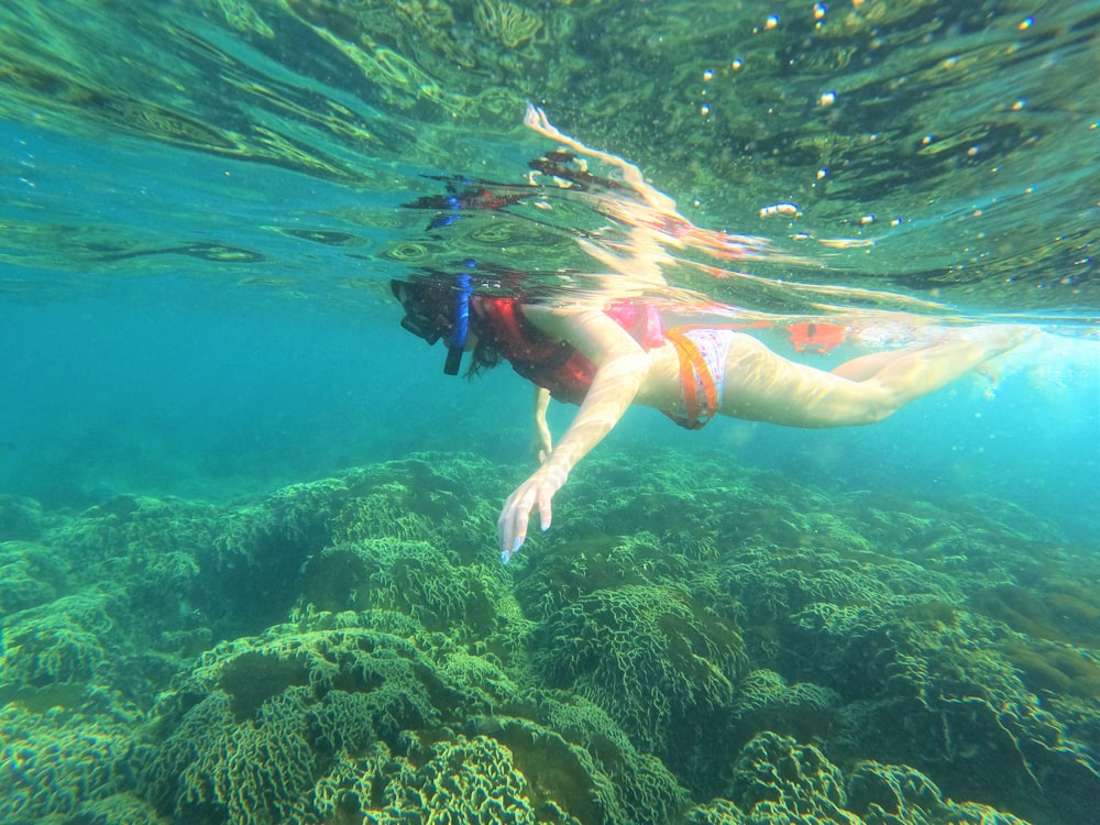 a woman in a bikini swims in the ocean