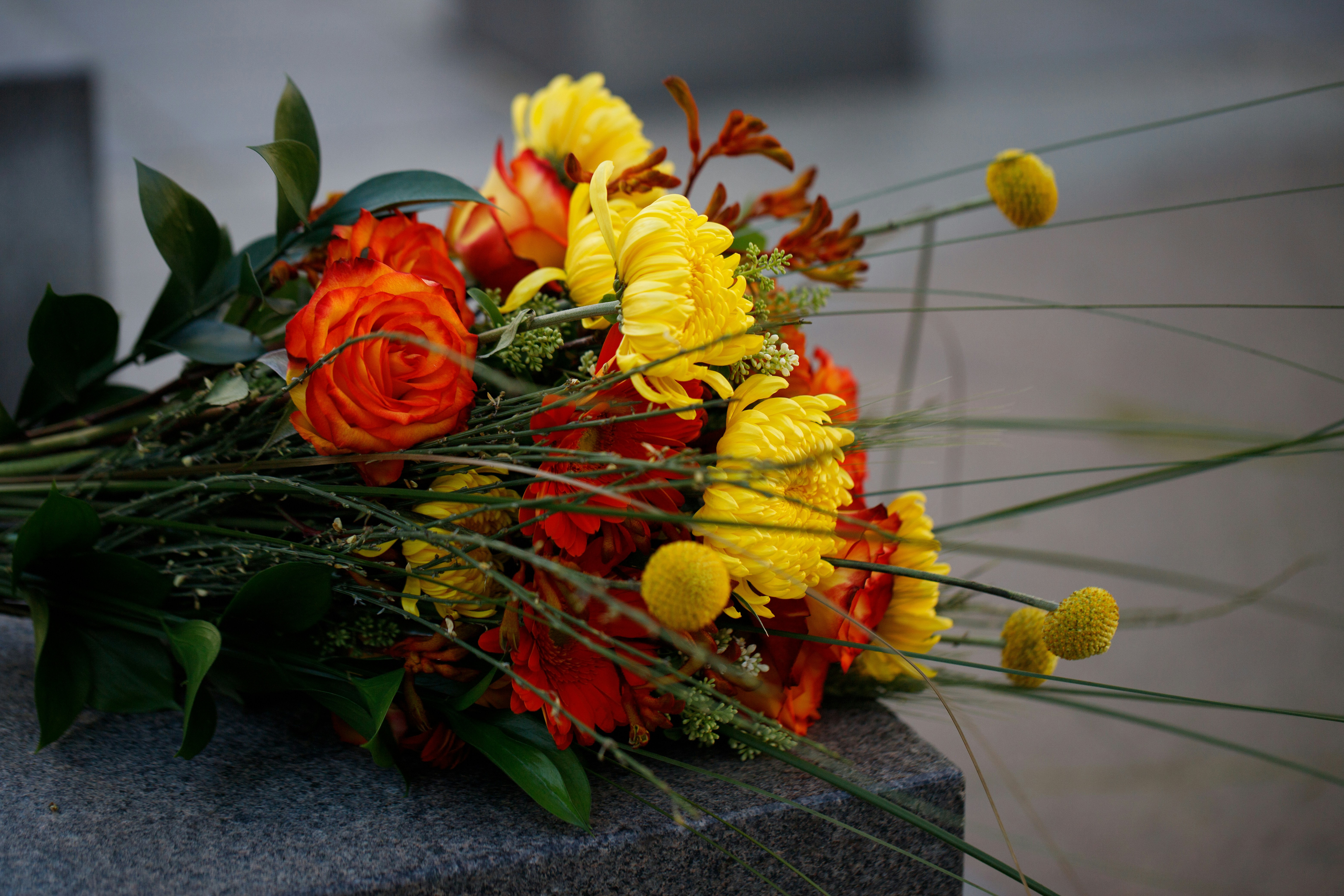 Photo by dillydallying