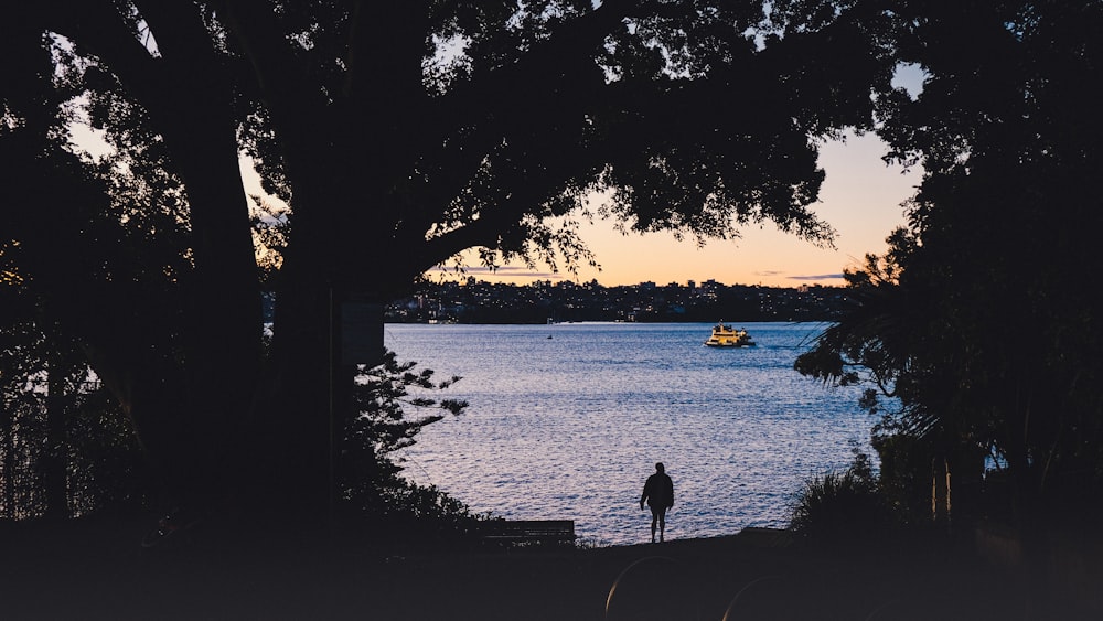 a person standing in front of a body of water