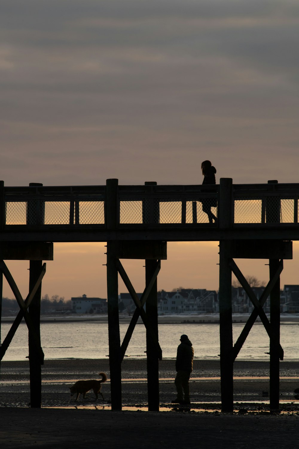 a person walking a dog on a pier at sunset