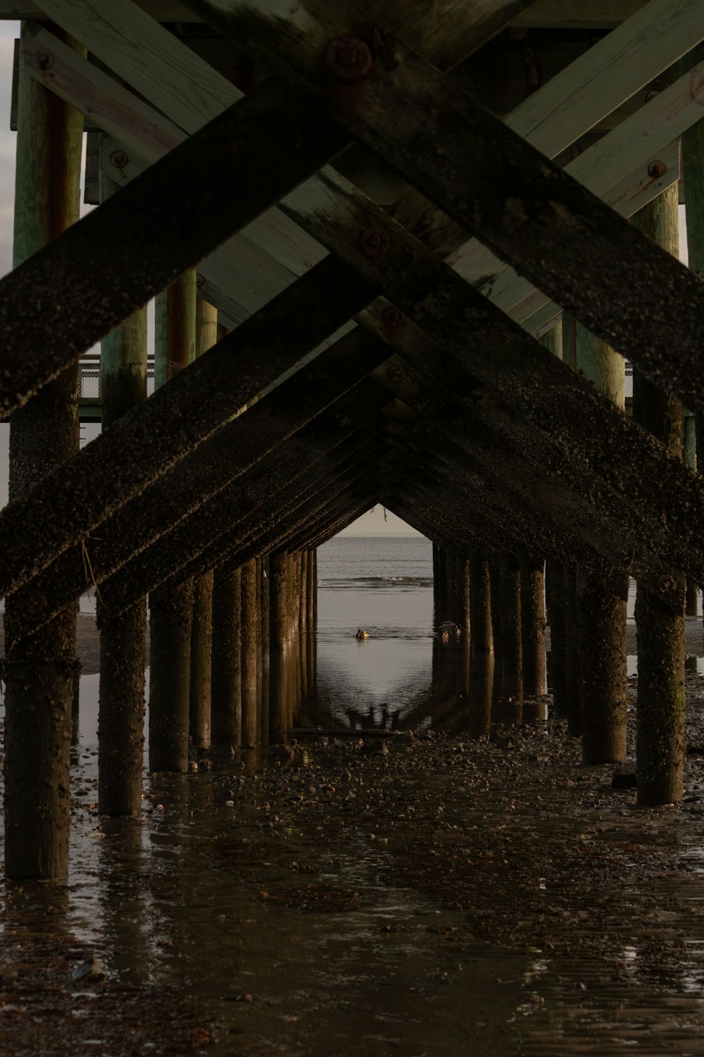 a view of a pier from under the water