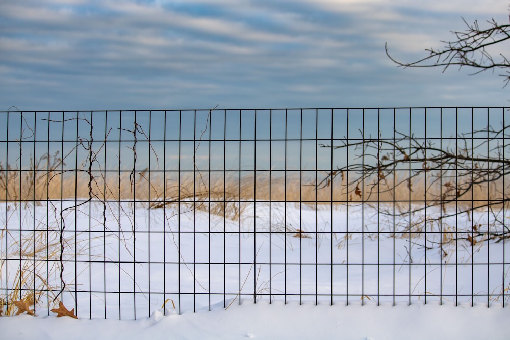 a fence that is next to a field covered in snow