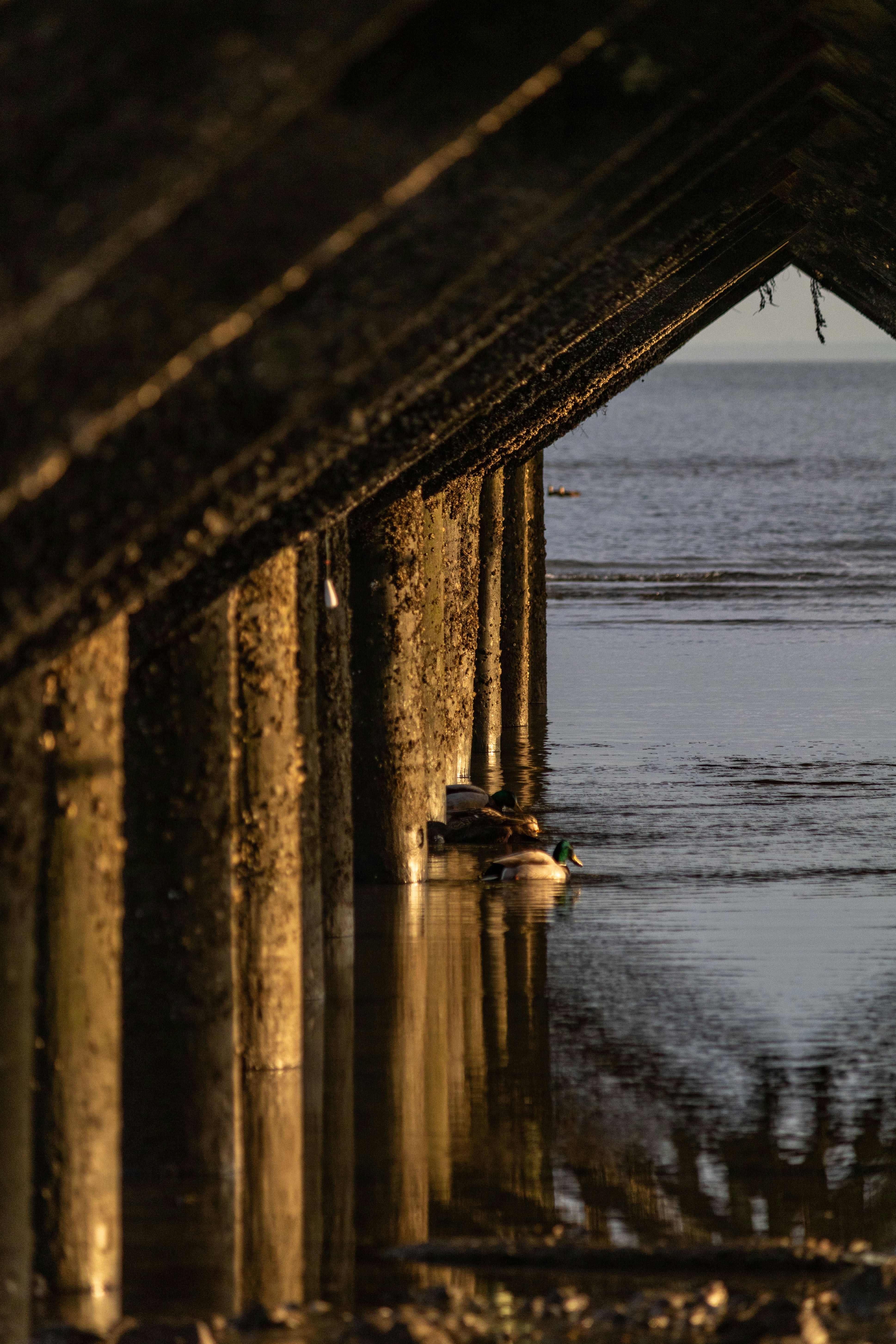 a view of a body of water under a bridge