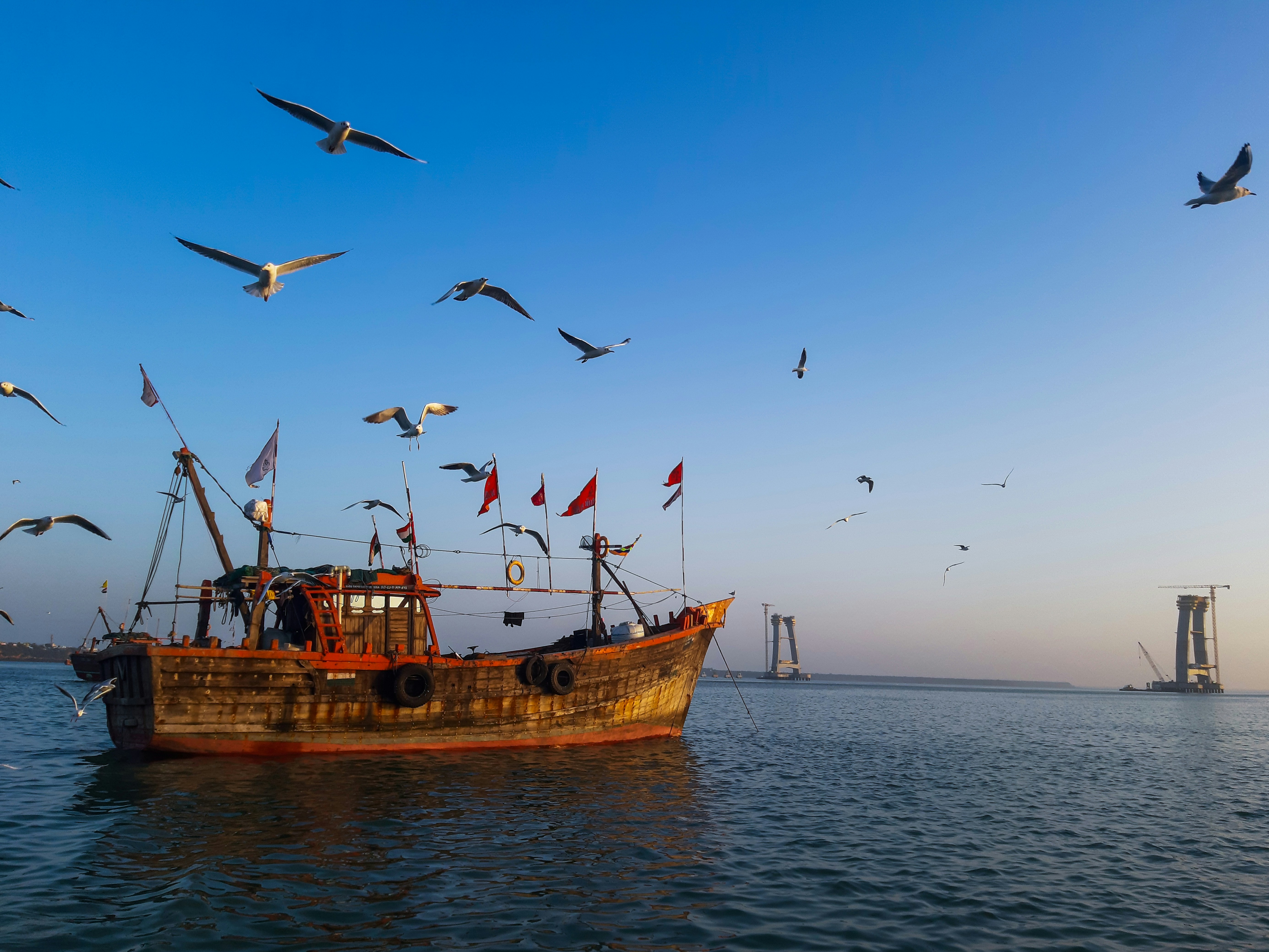 Gujarat’s Wonders – White Deserts and Wild Landscapes