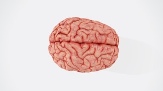 A realistic depiction of a human brain viewed from above, showing intricate folds and grooves with visible blood vessels. The brain is positioned centrally on a light background, emphasizing its natural texture and structure.