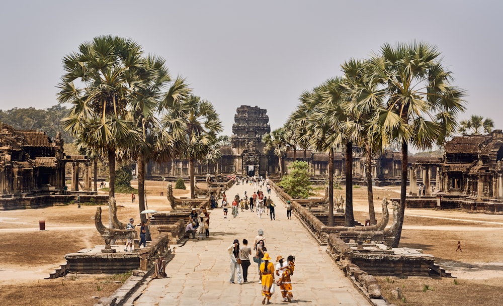 a group of people walking down a walkway next to palm trees