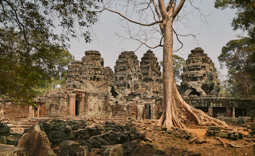Ta Prohm, Cambodia