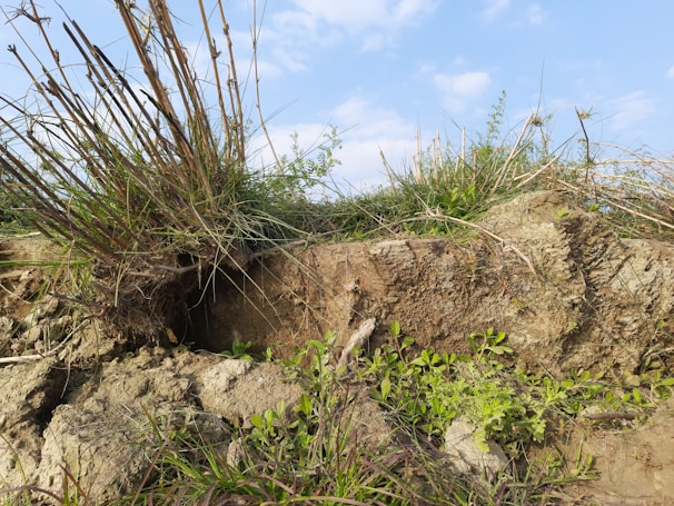 Close-up of the terrain's landscape features.