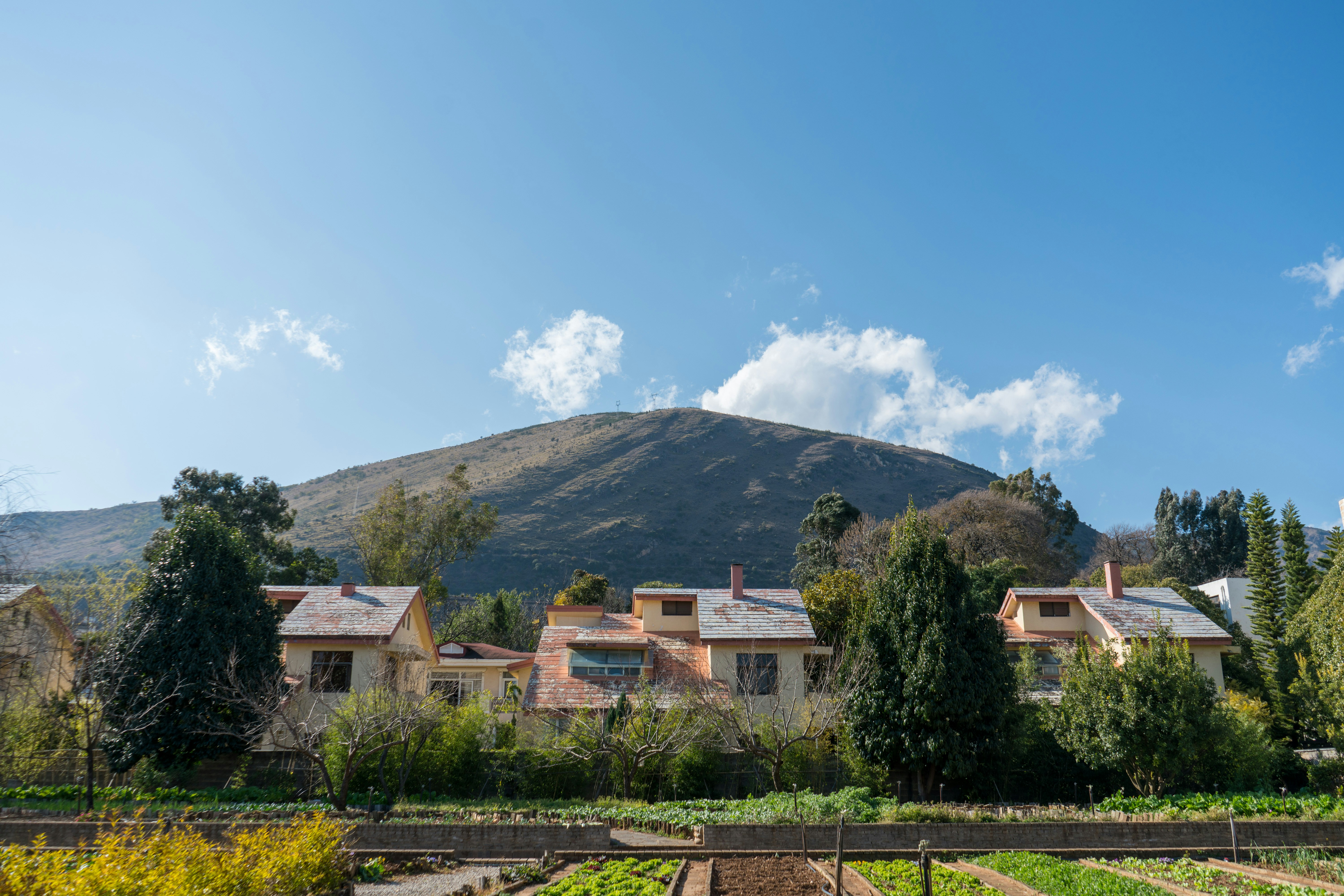 Photo by radsupercell