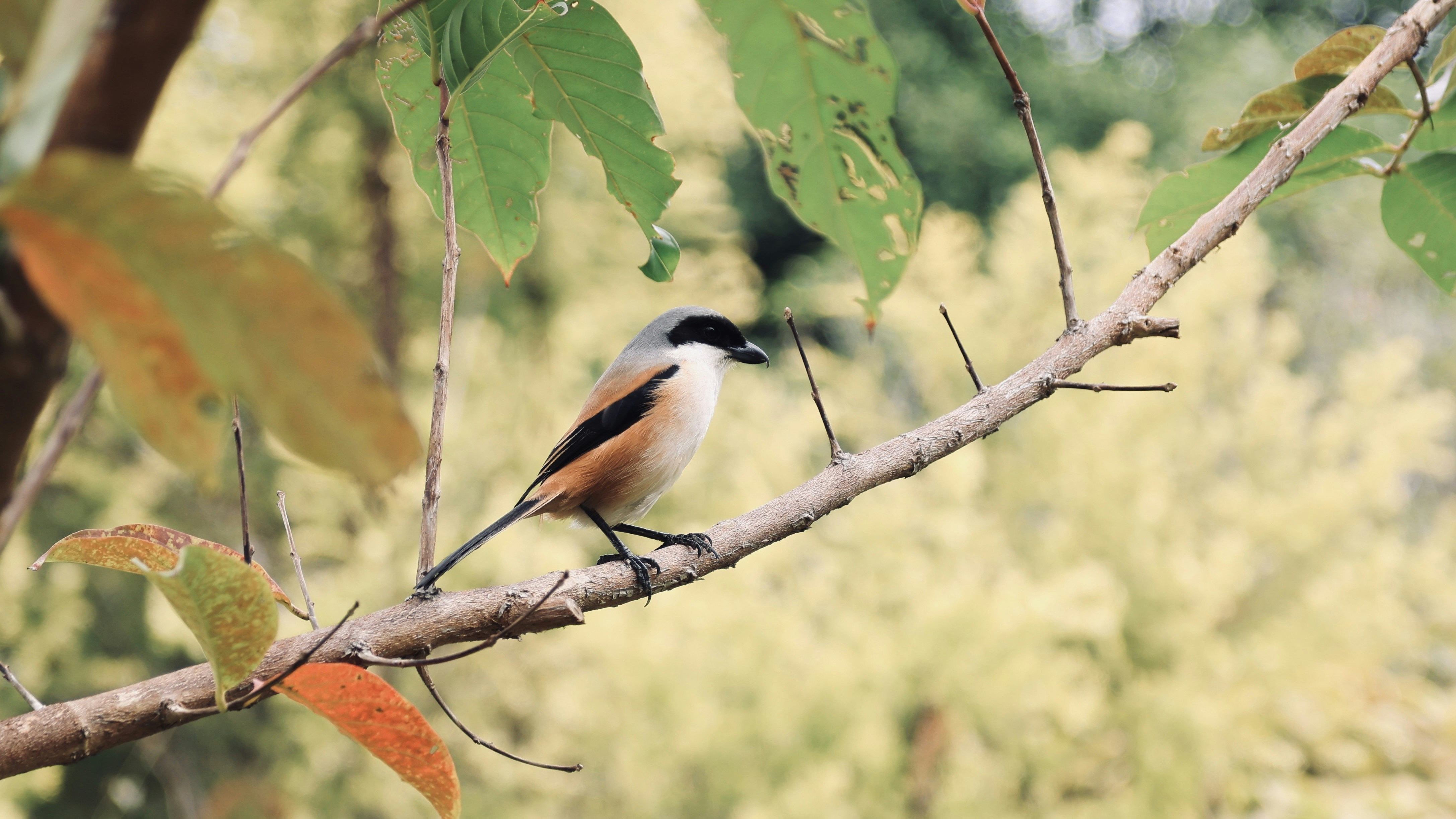 Photo by dickenslin76