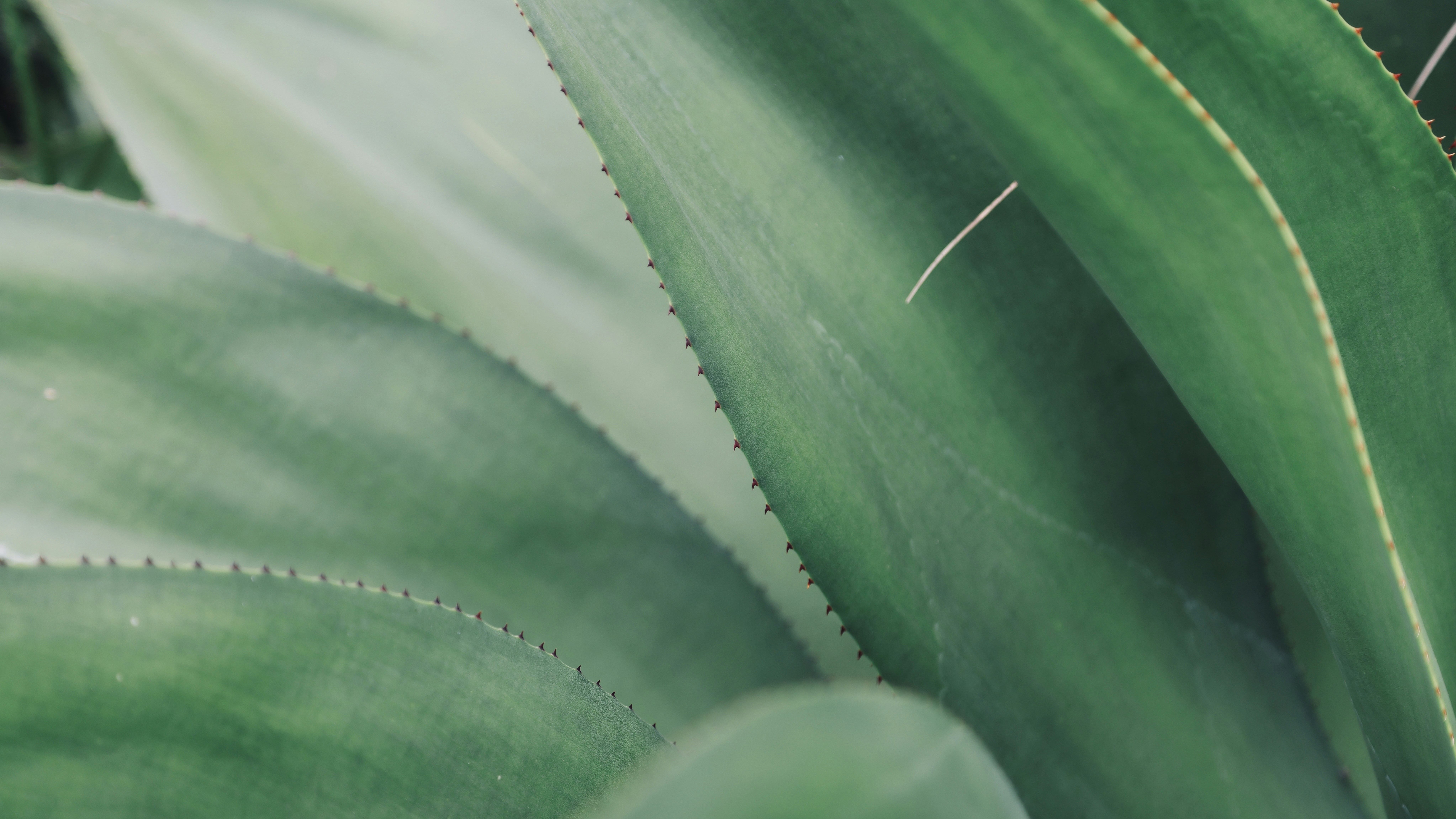 Photo by dickenslin76