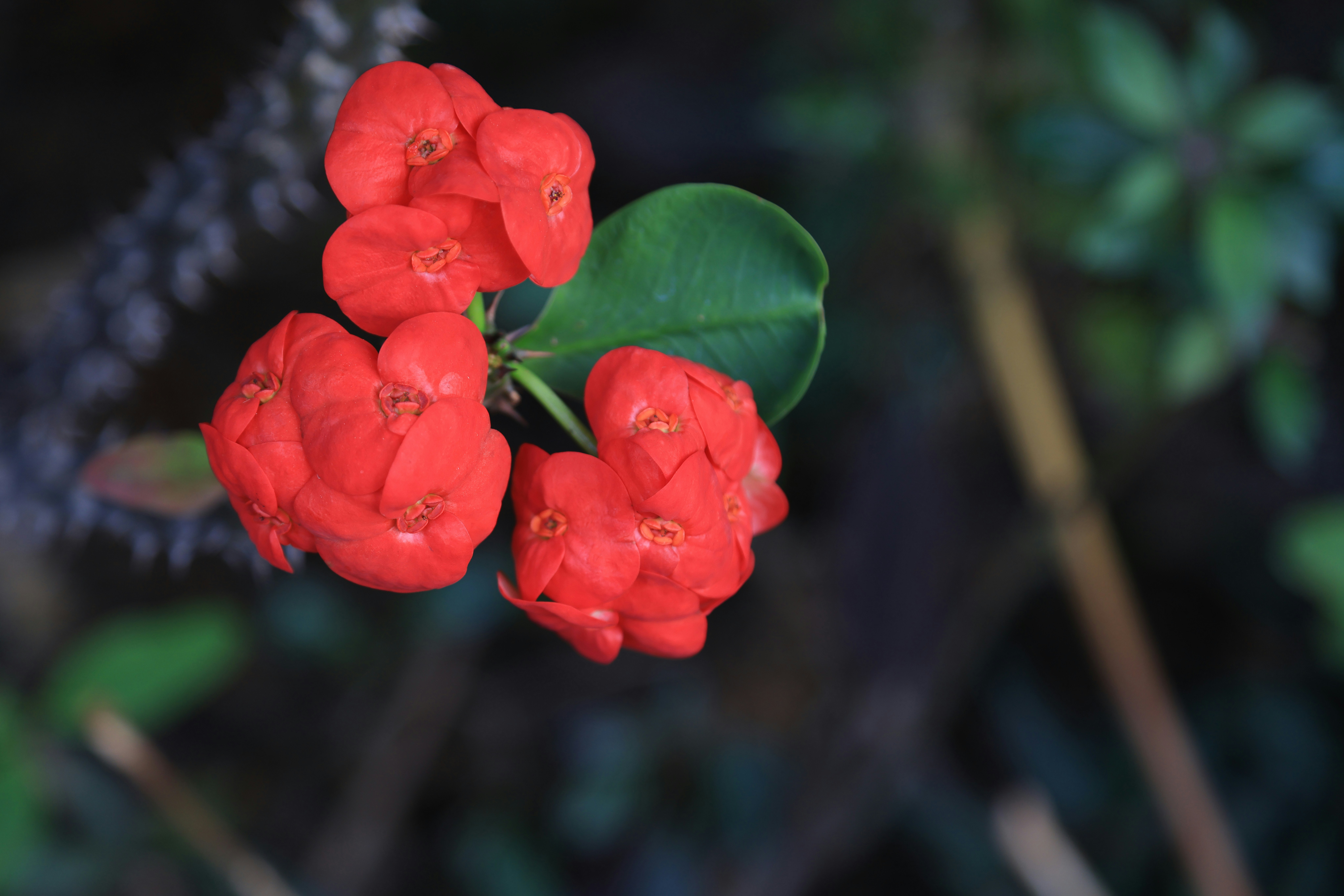 Photo by dickenslin76