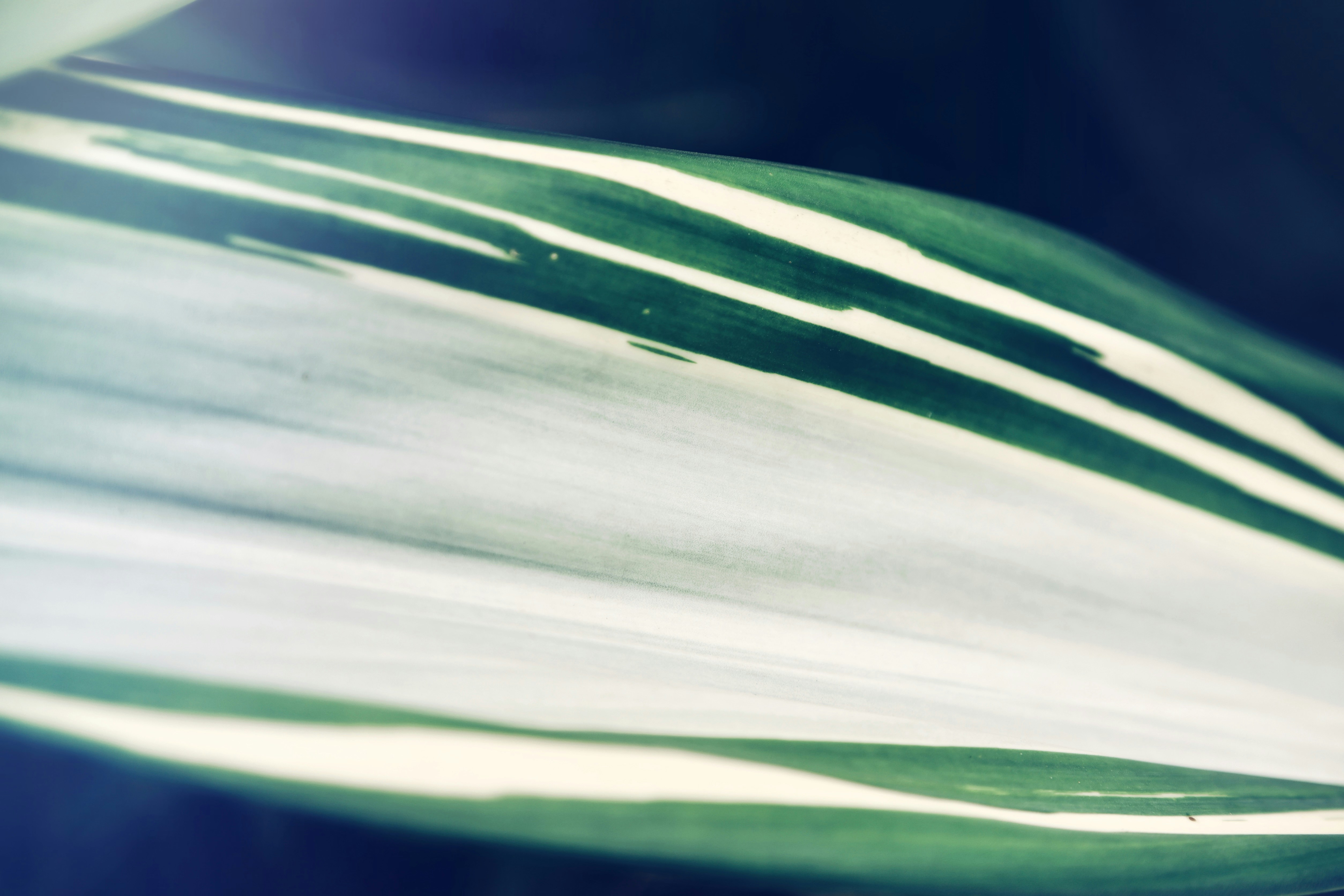 Photo by dickenslin76