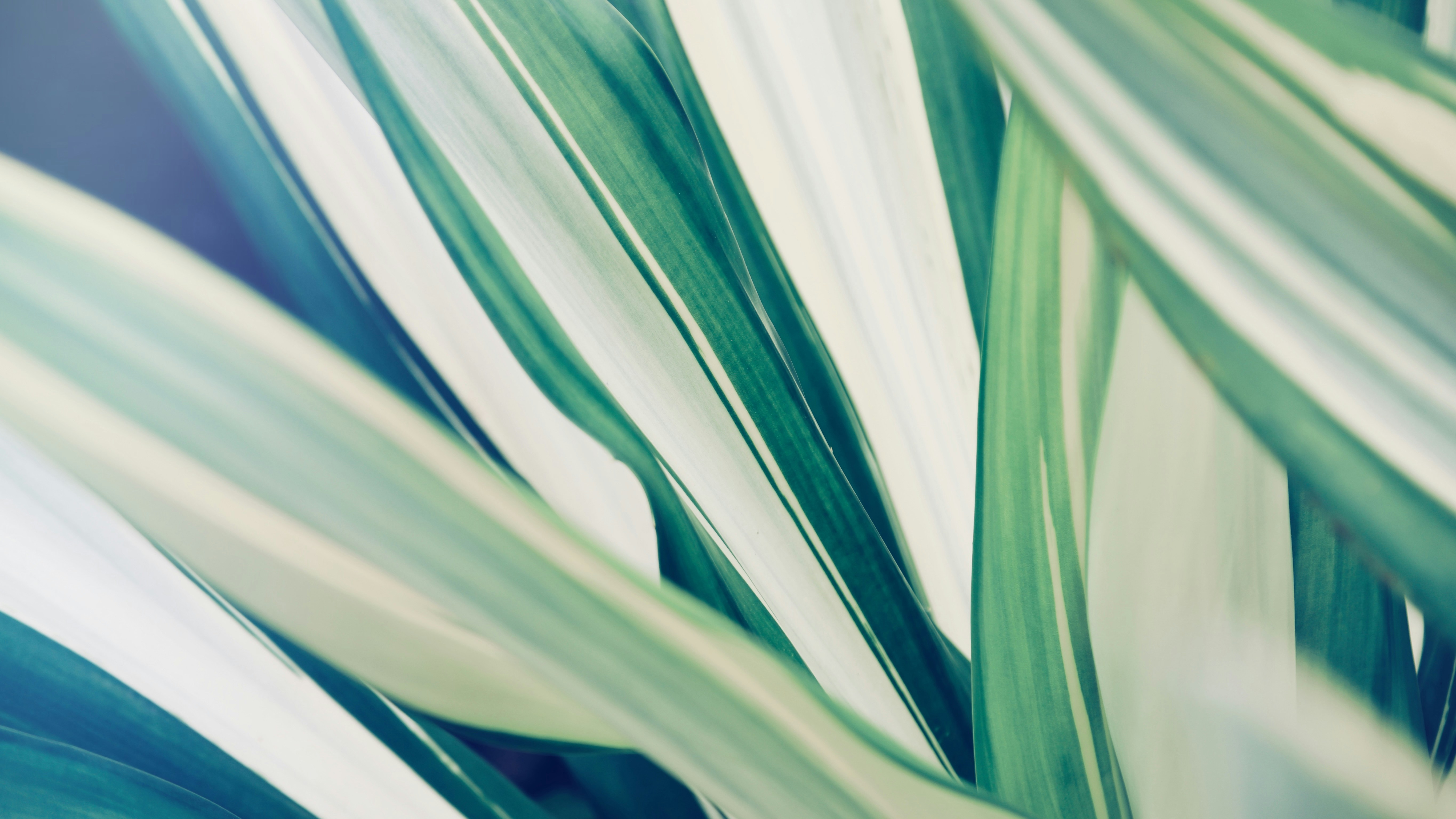 Photo by dickenslin76