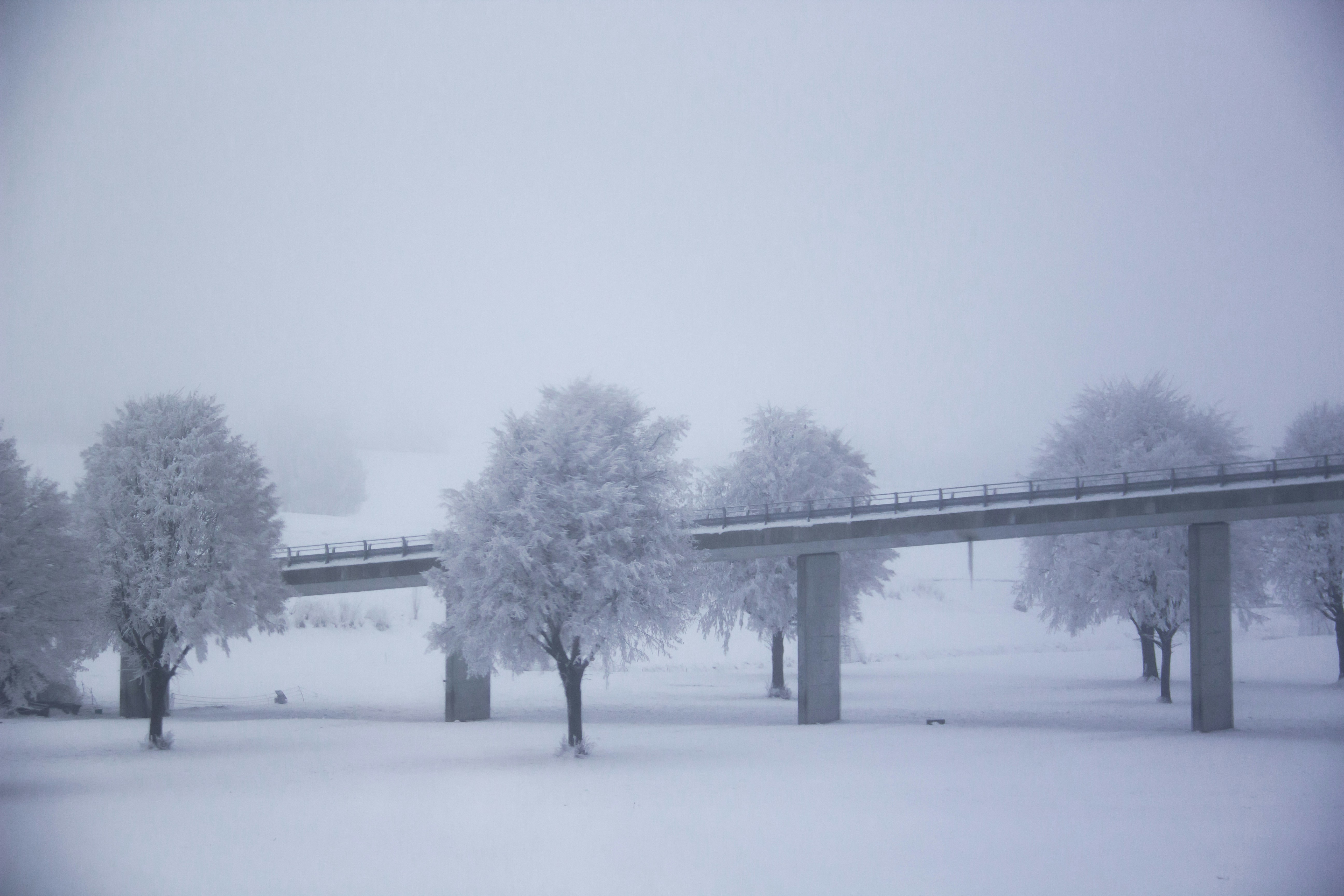 a snowy landscape with trees and a bridge