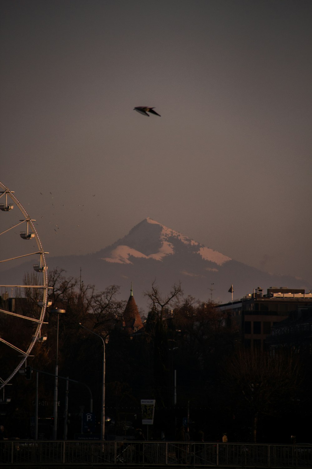 a ferris wheel and a mountain in the background
