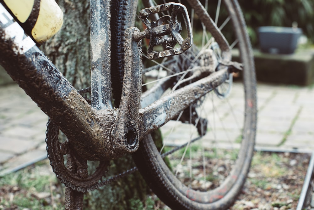 a dirty bike parked next to a tree