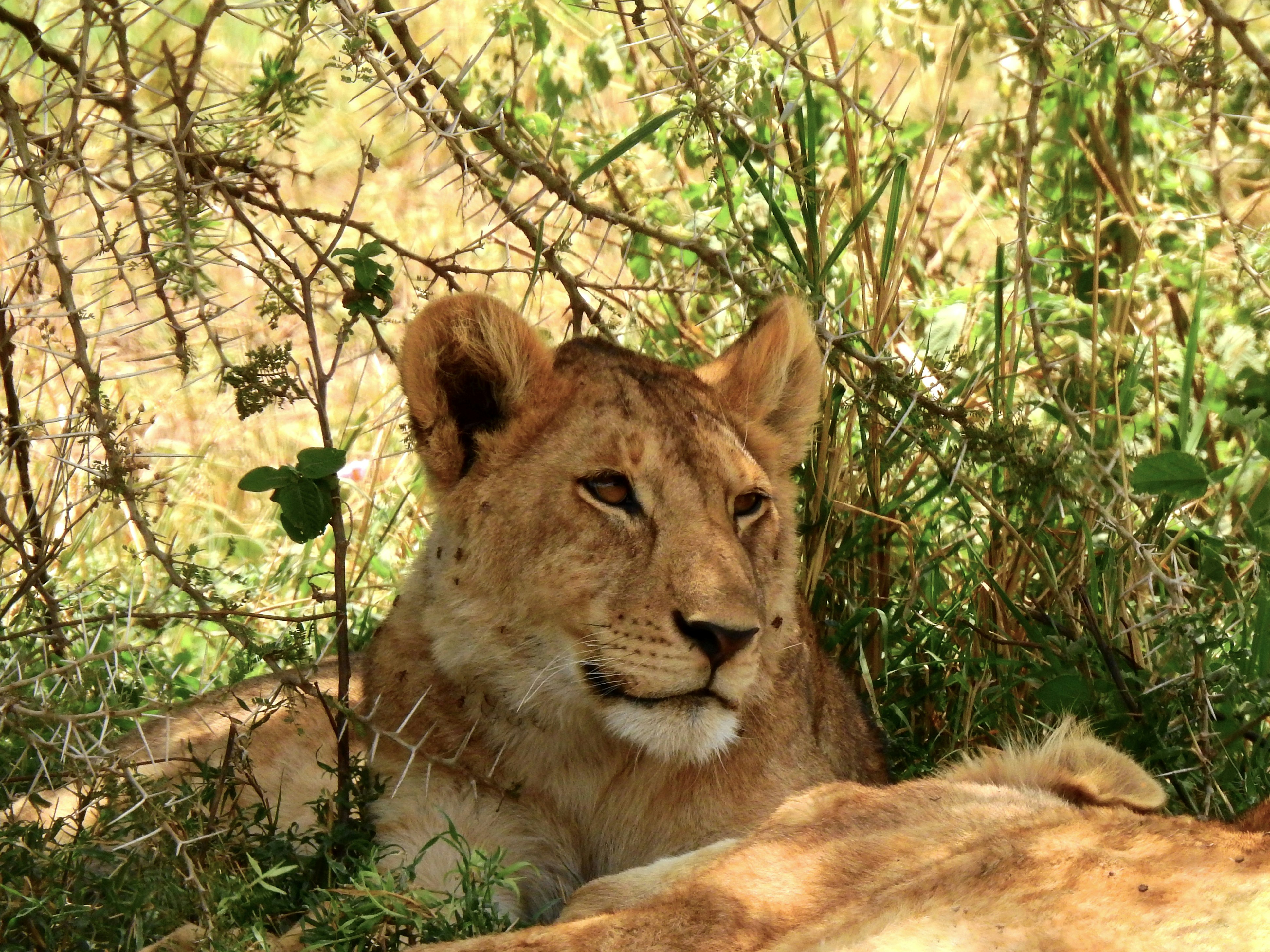 Photo by artemisdesign