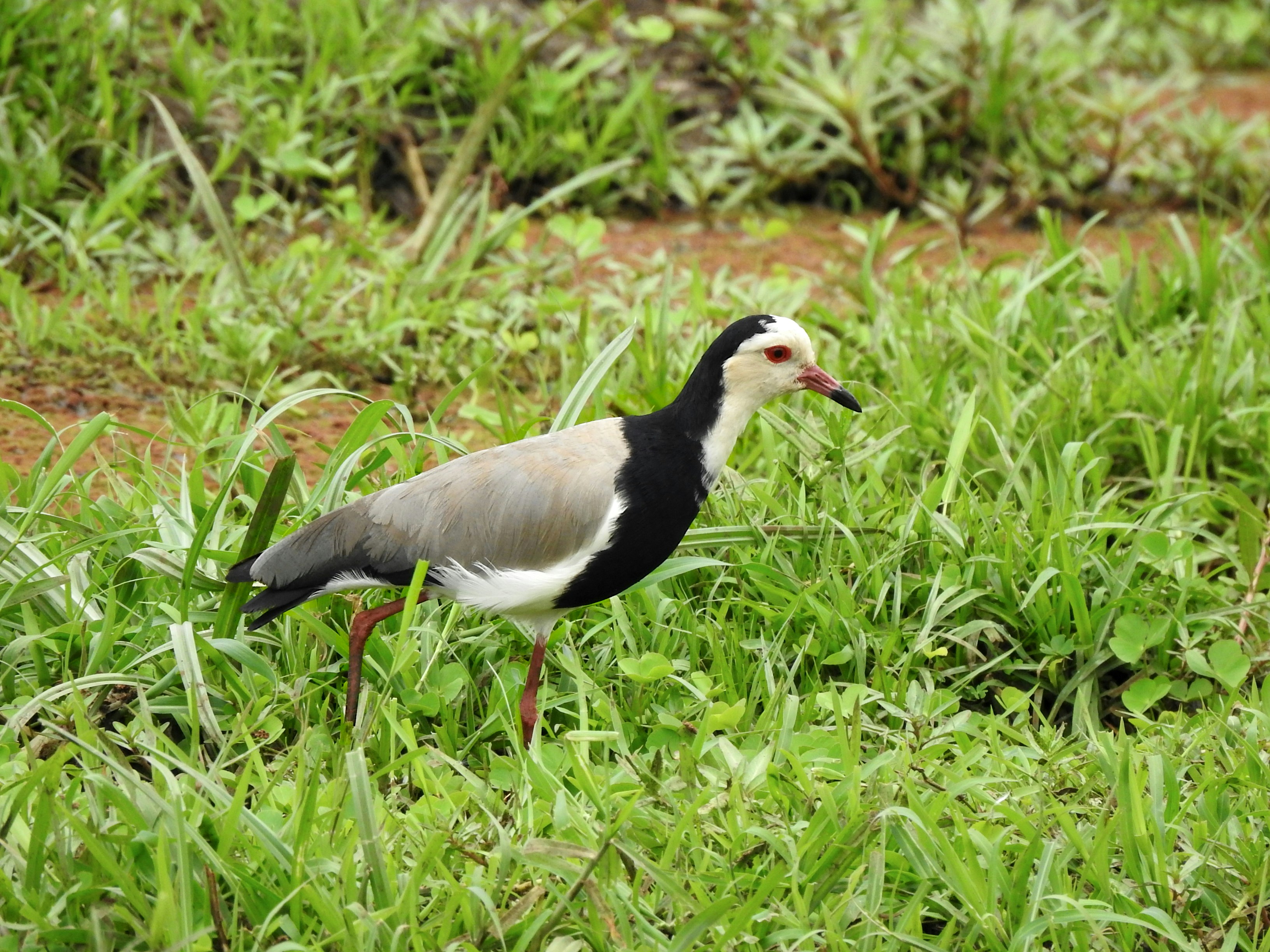 Photo by artemisdesign