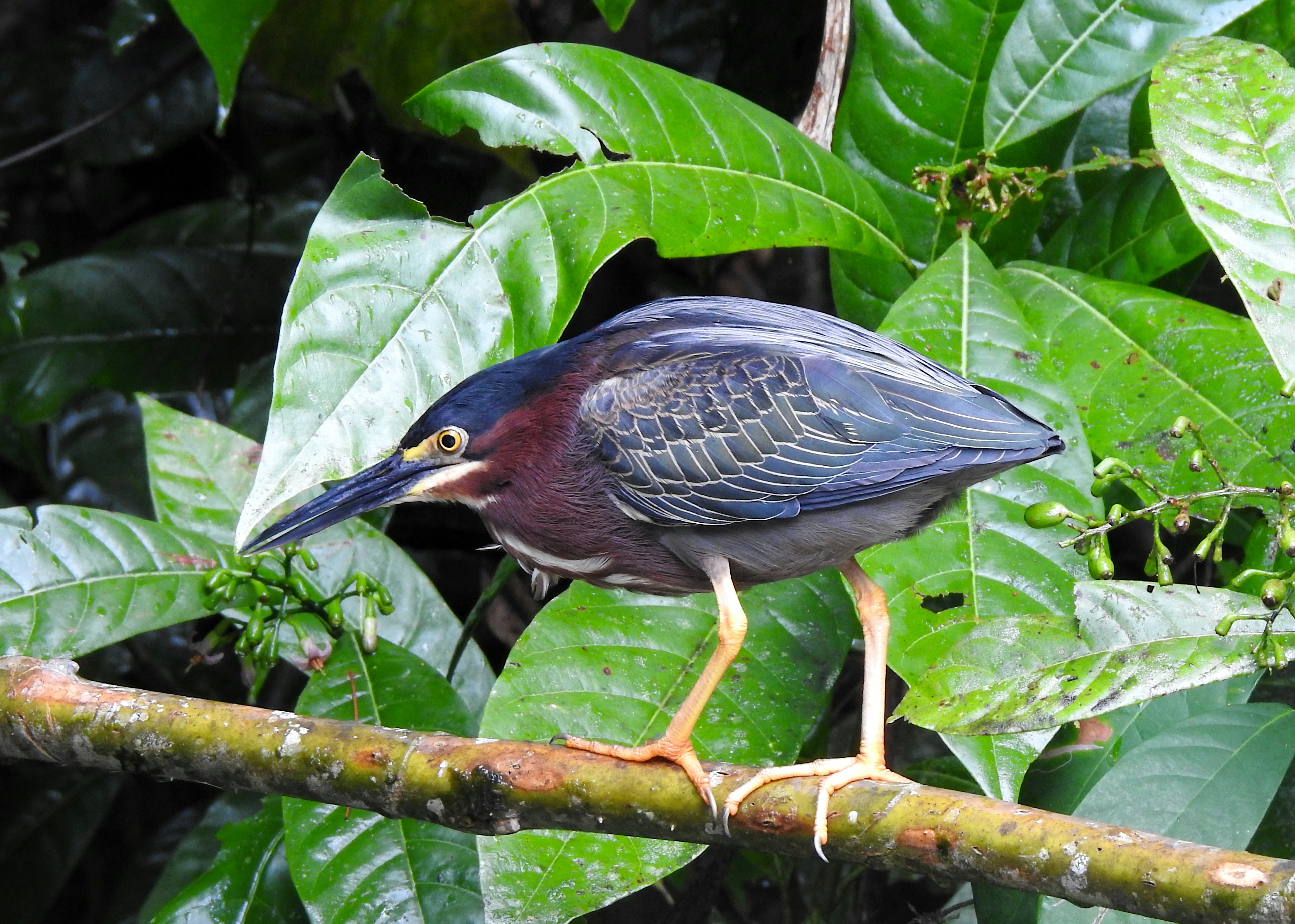 Photo by artemisdesign