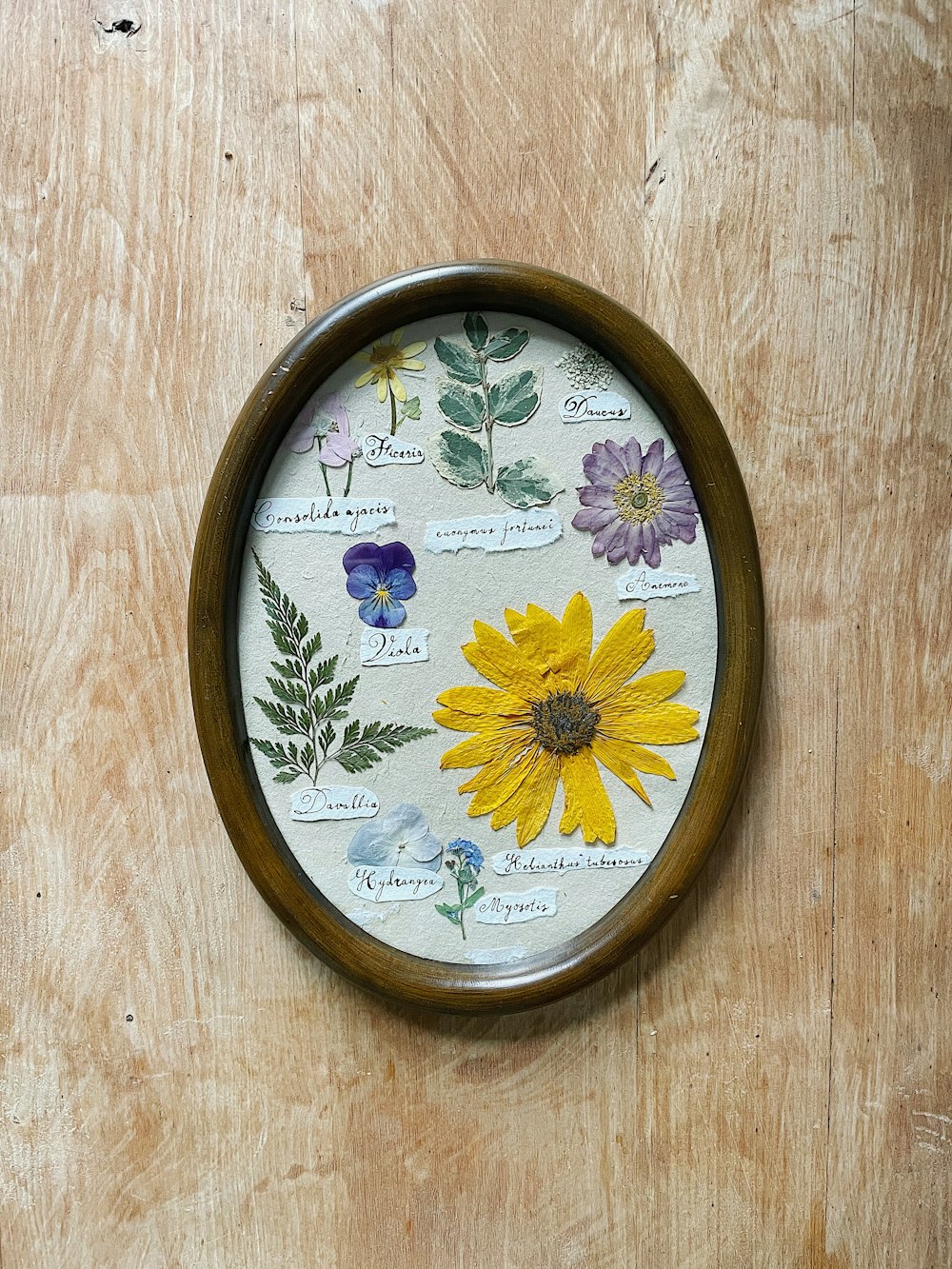 a picture of a flower on a wooden surface