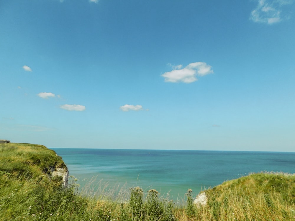 a view of the ocean from a grassy hill