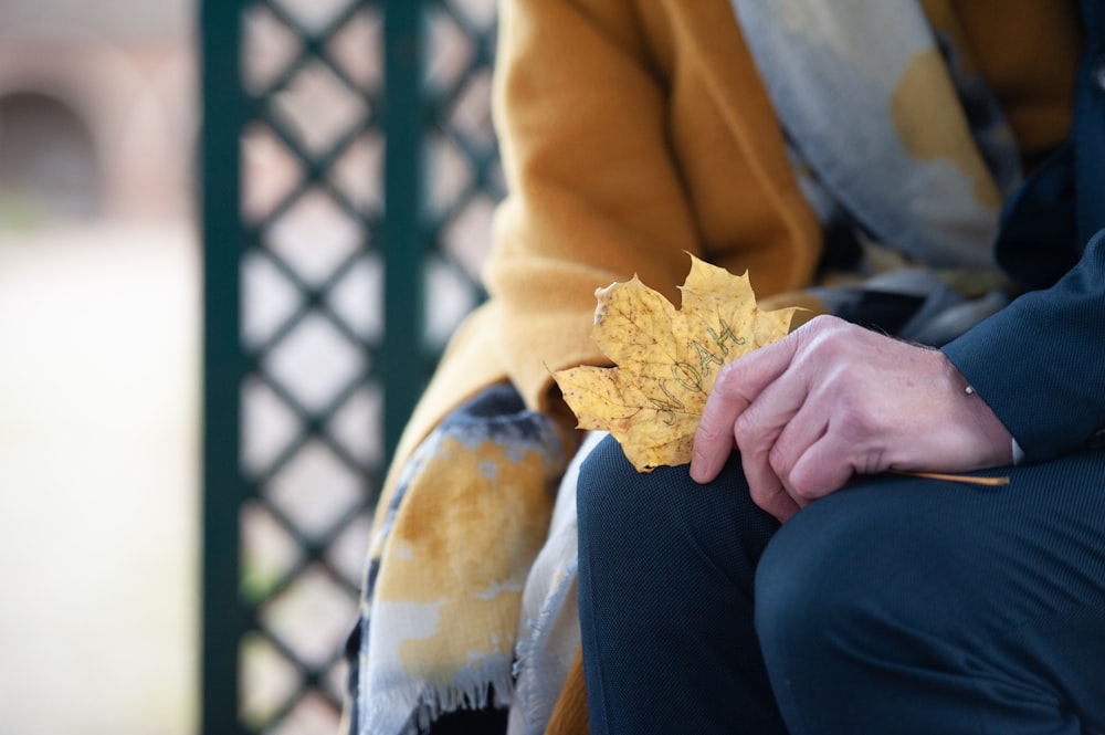 a person sitting on a bench holding a leaf