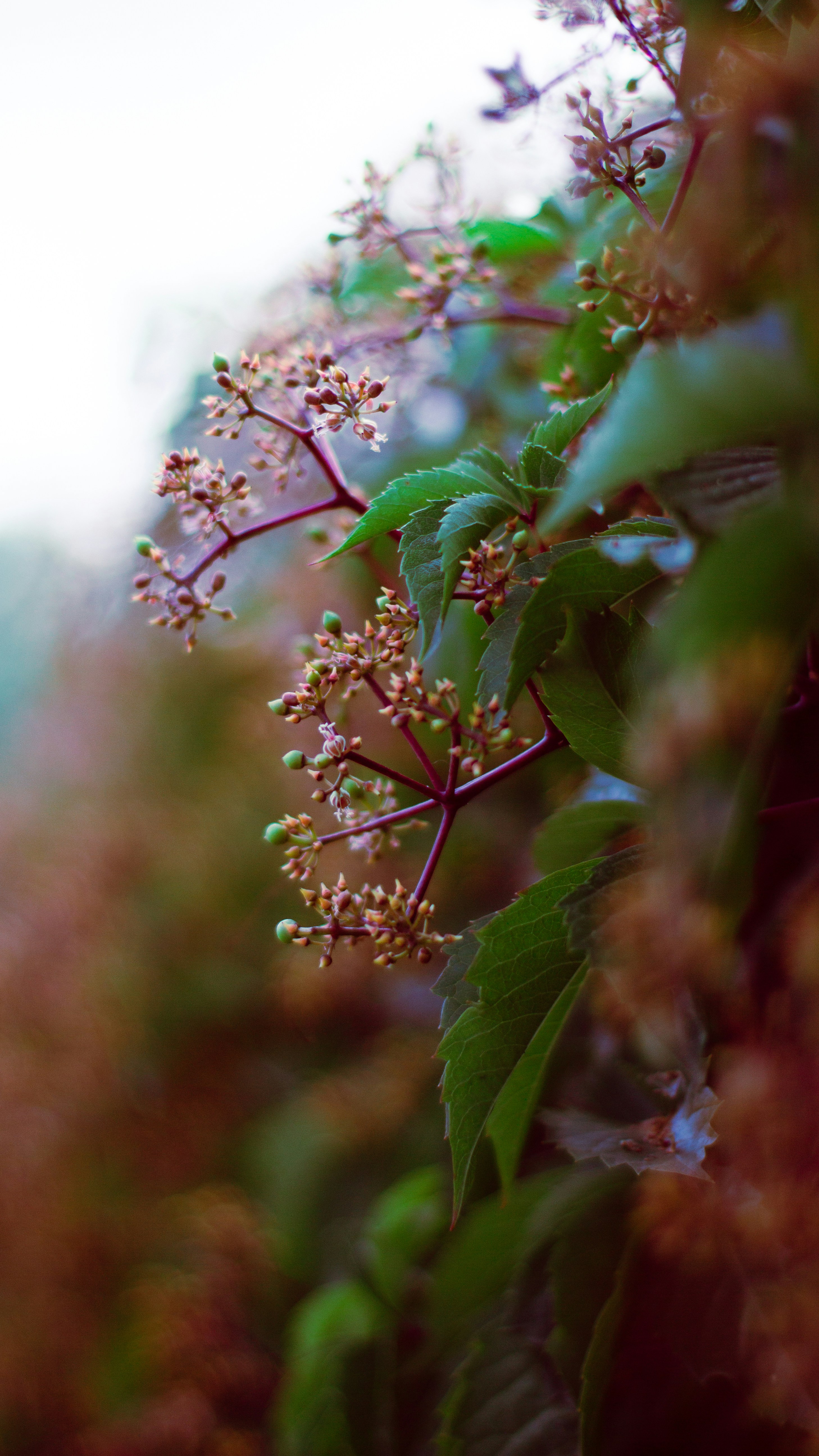 Photo by koryunhills