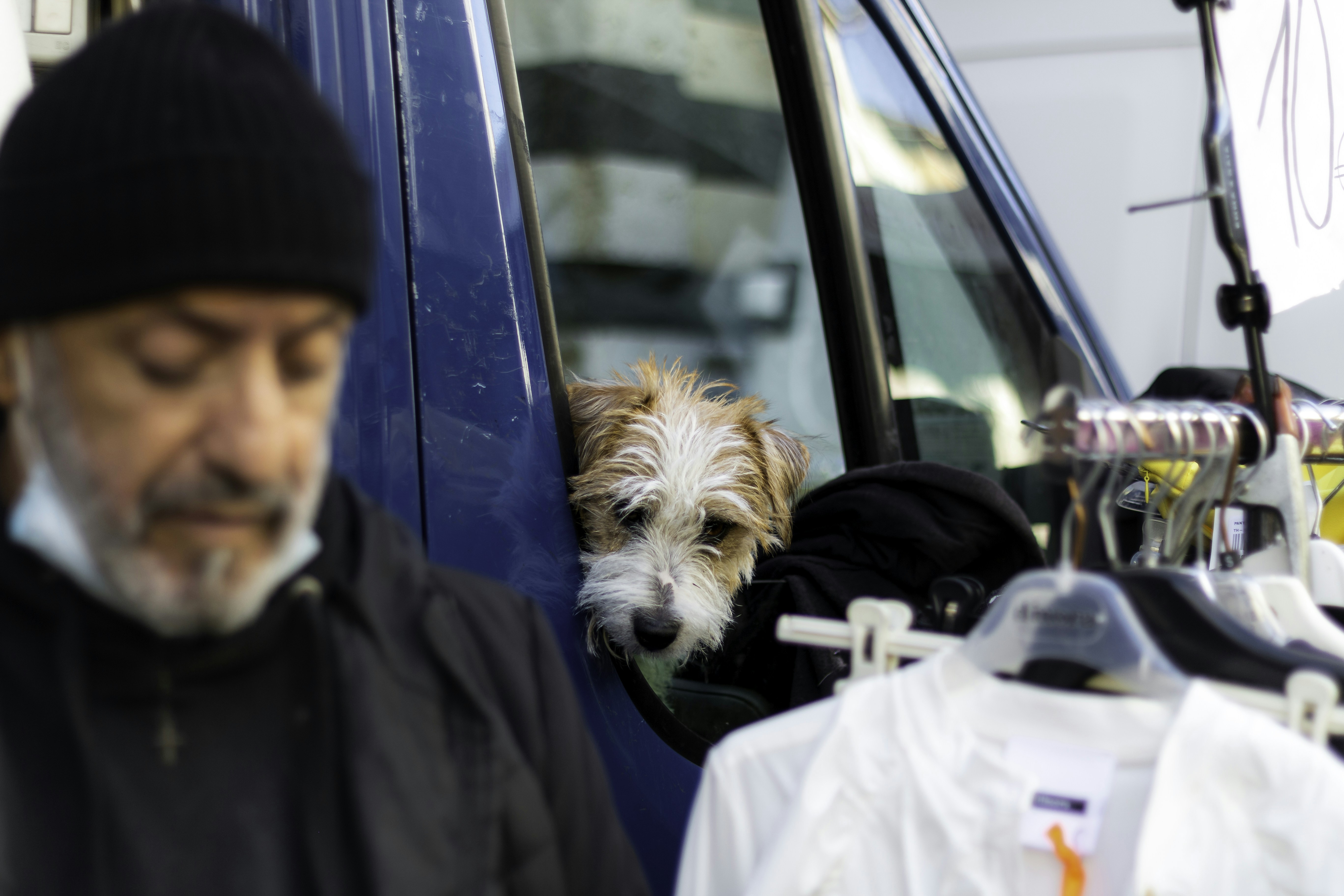 a man and a dog are standing in front of a van