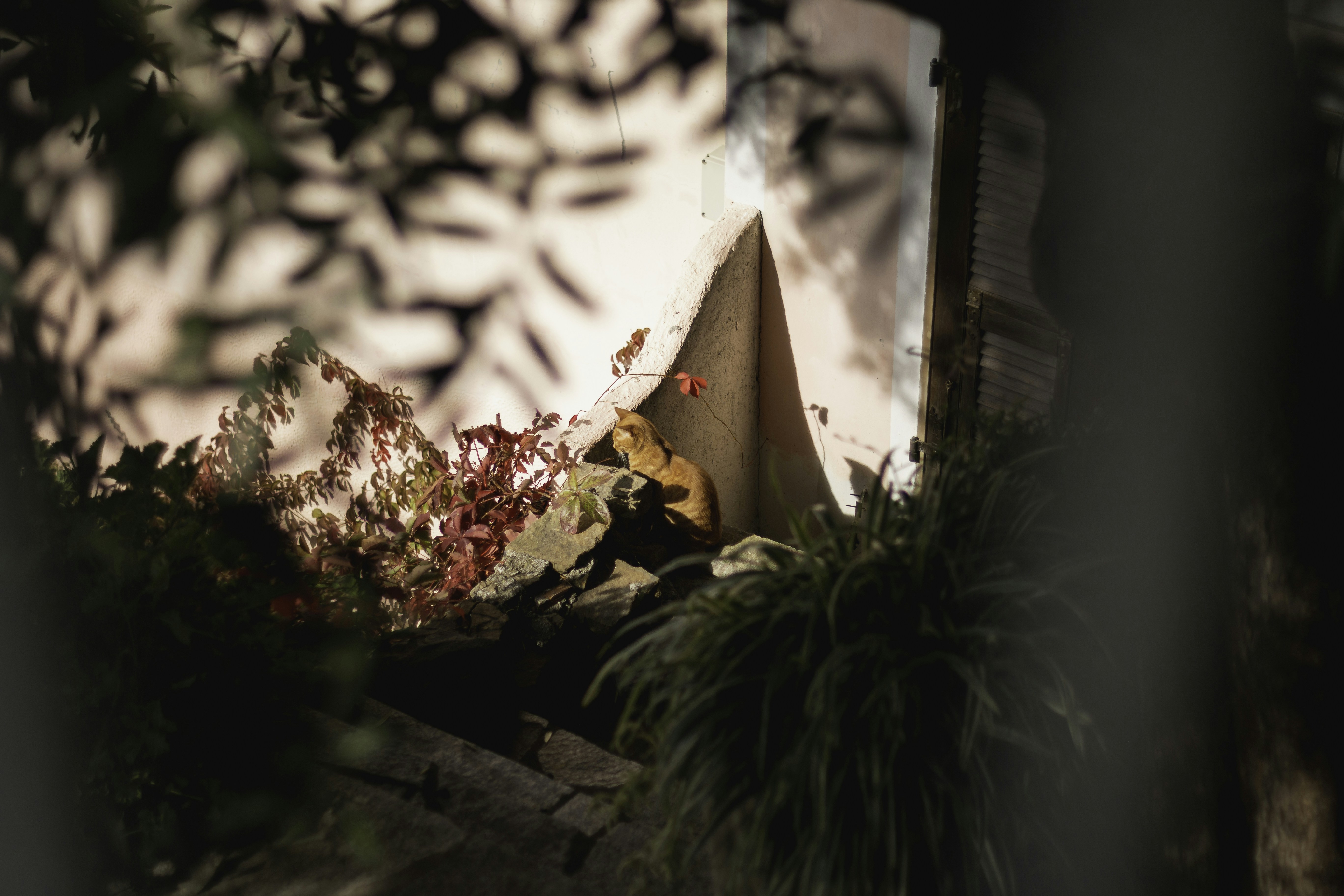 a teepee sitting in the middle of a forest