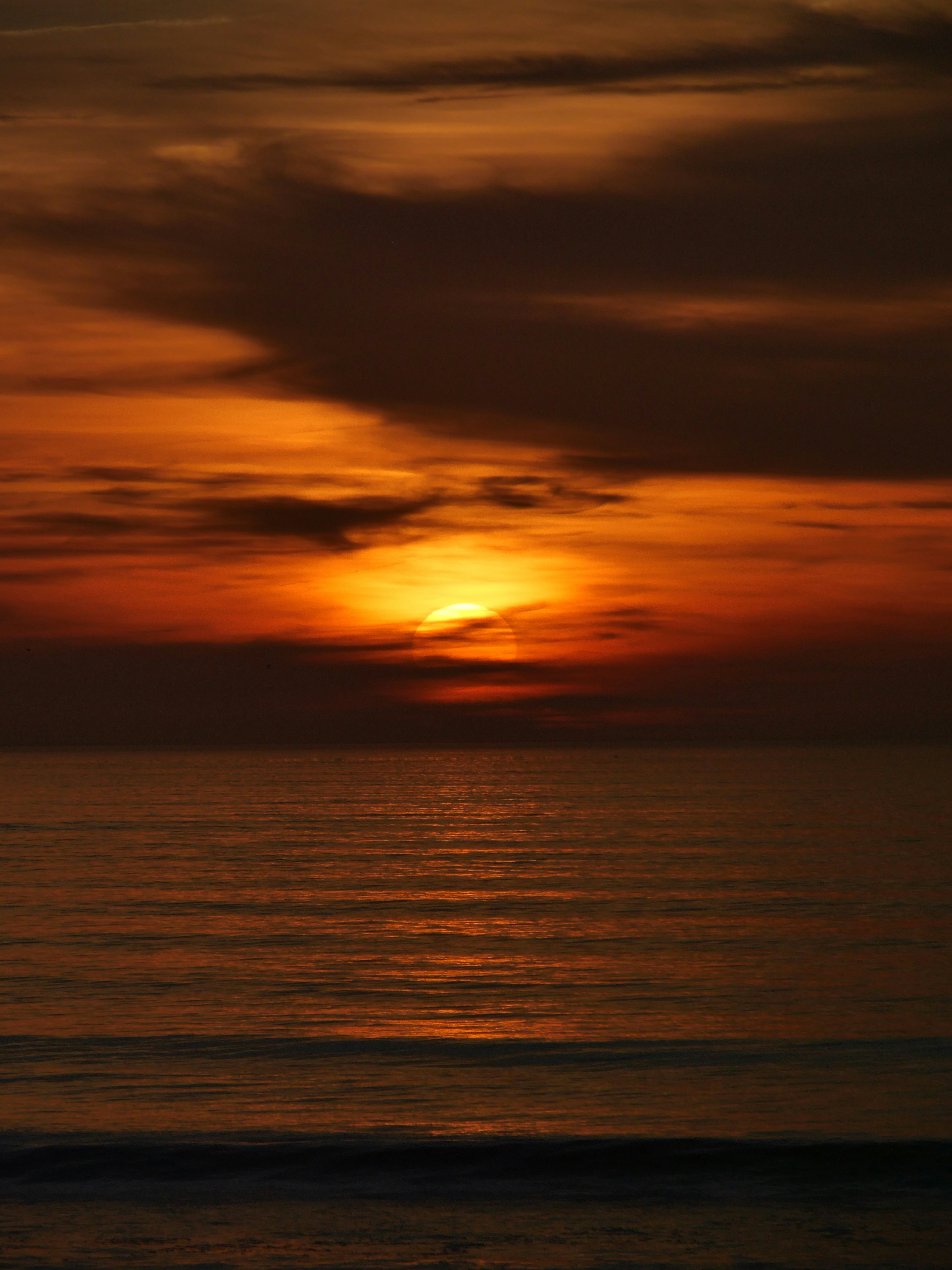 Photo by nimbus_vulpis