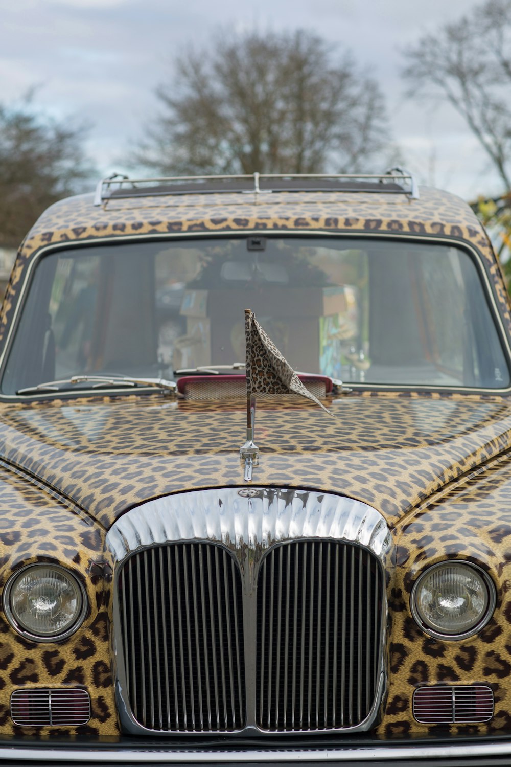 a leopard print car with a flag on the hood