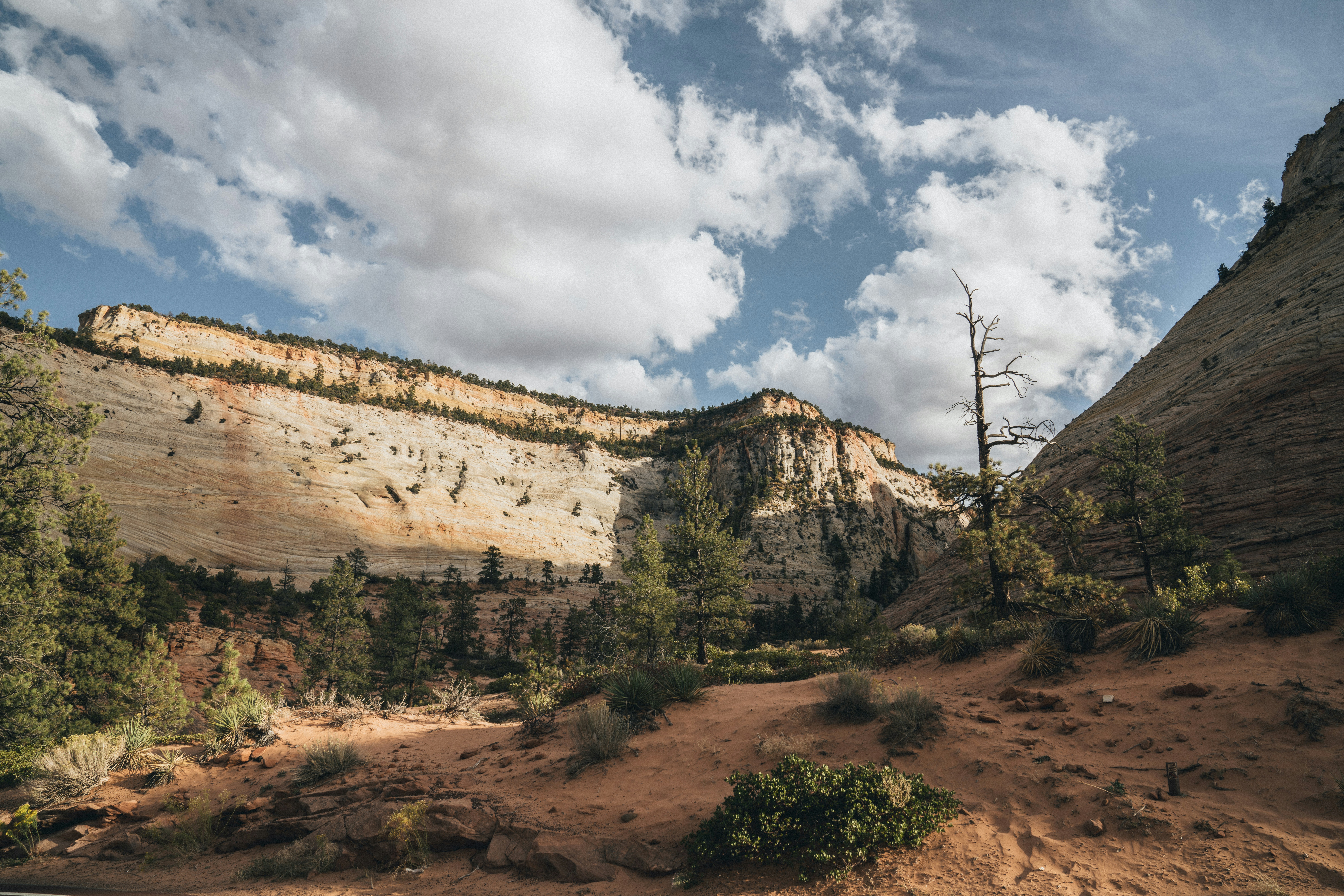 a scenic view of a mountain with trees and clouds