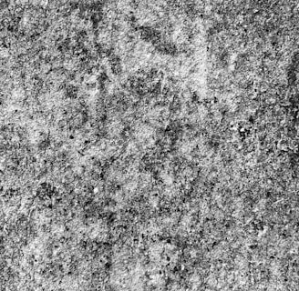 a black and white photo of a concrete wall