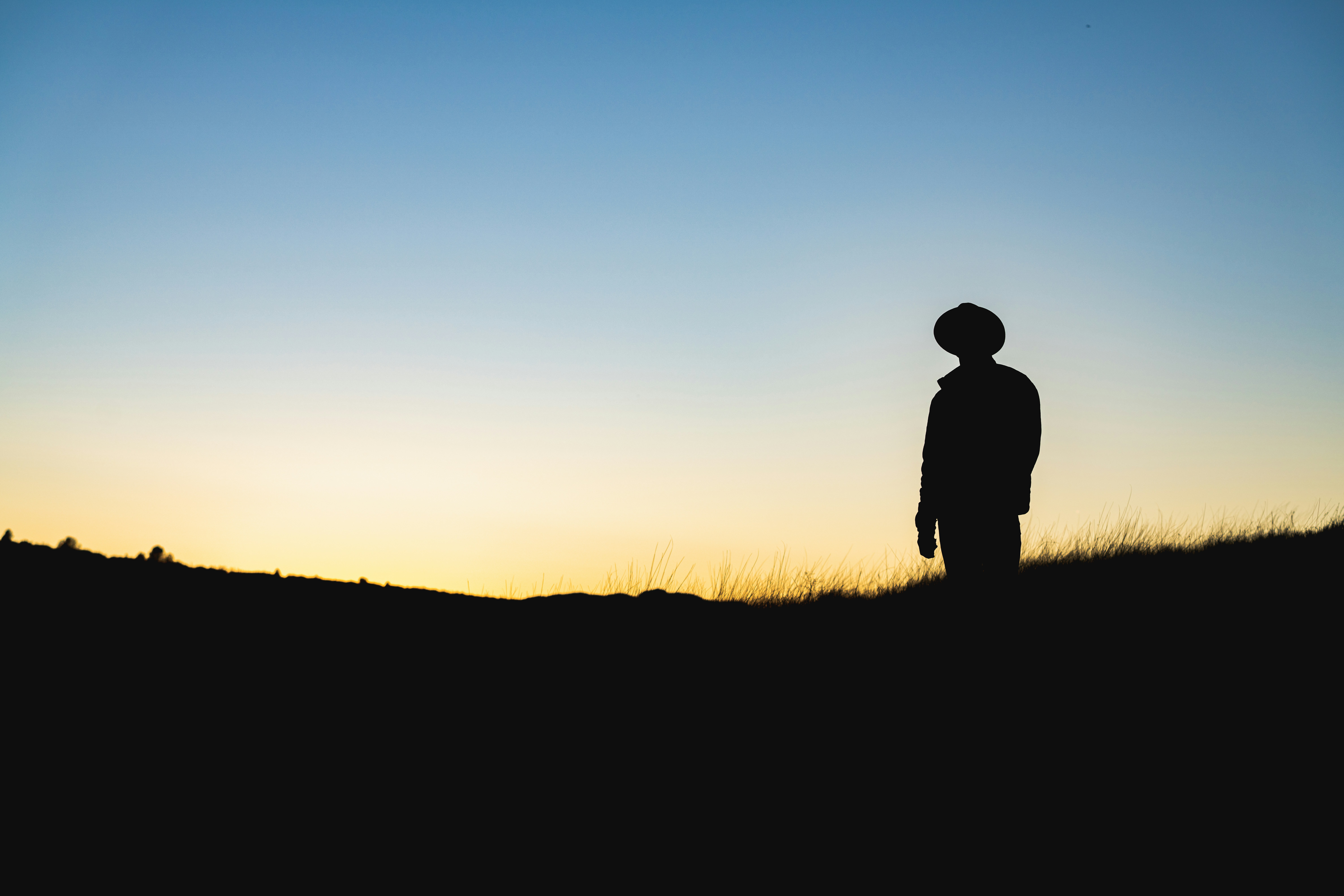 a person standing in a field at sunset