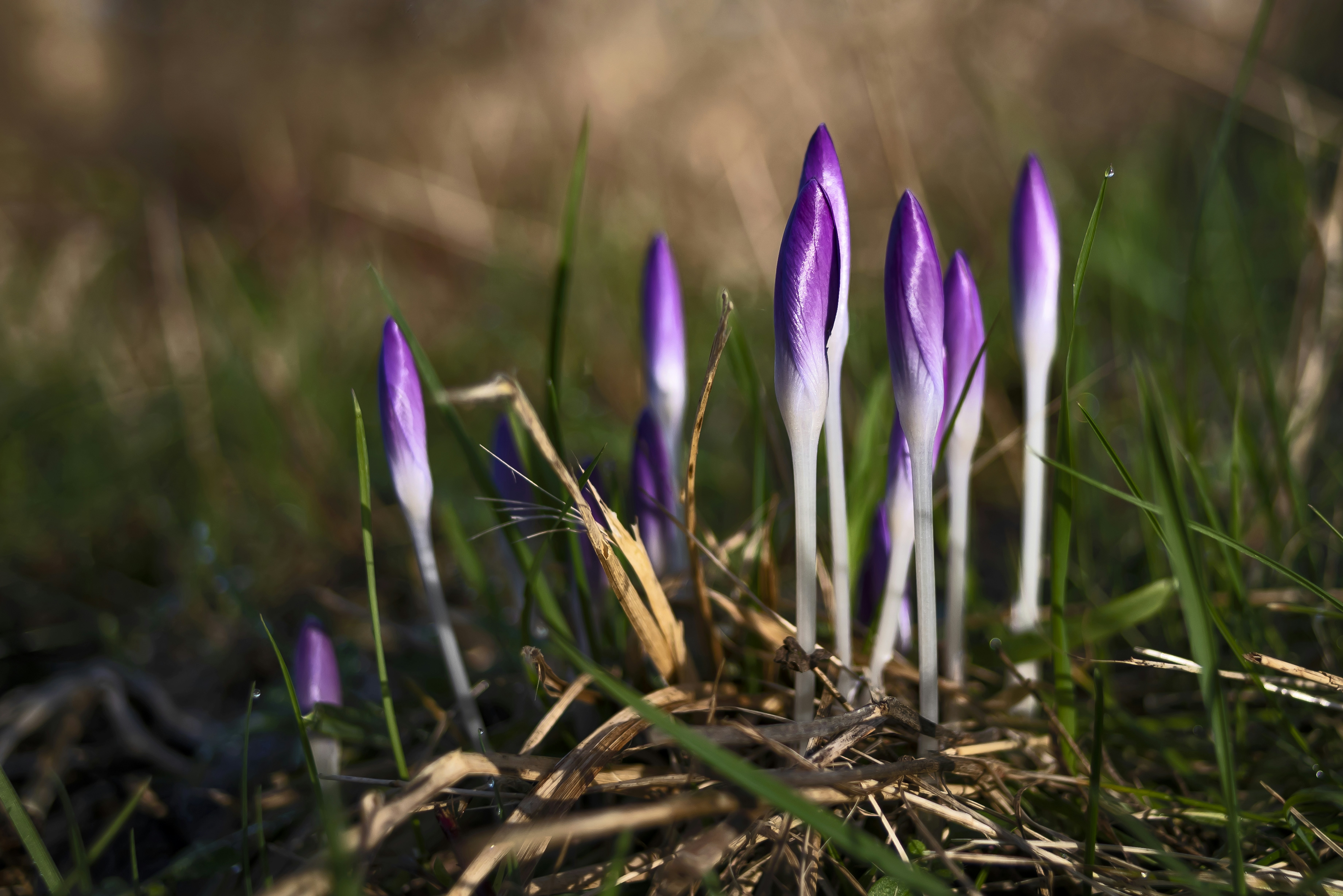 Photo by switch_dtp_fotografie