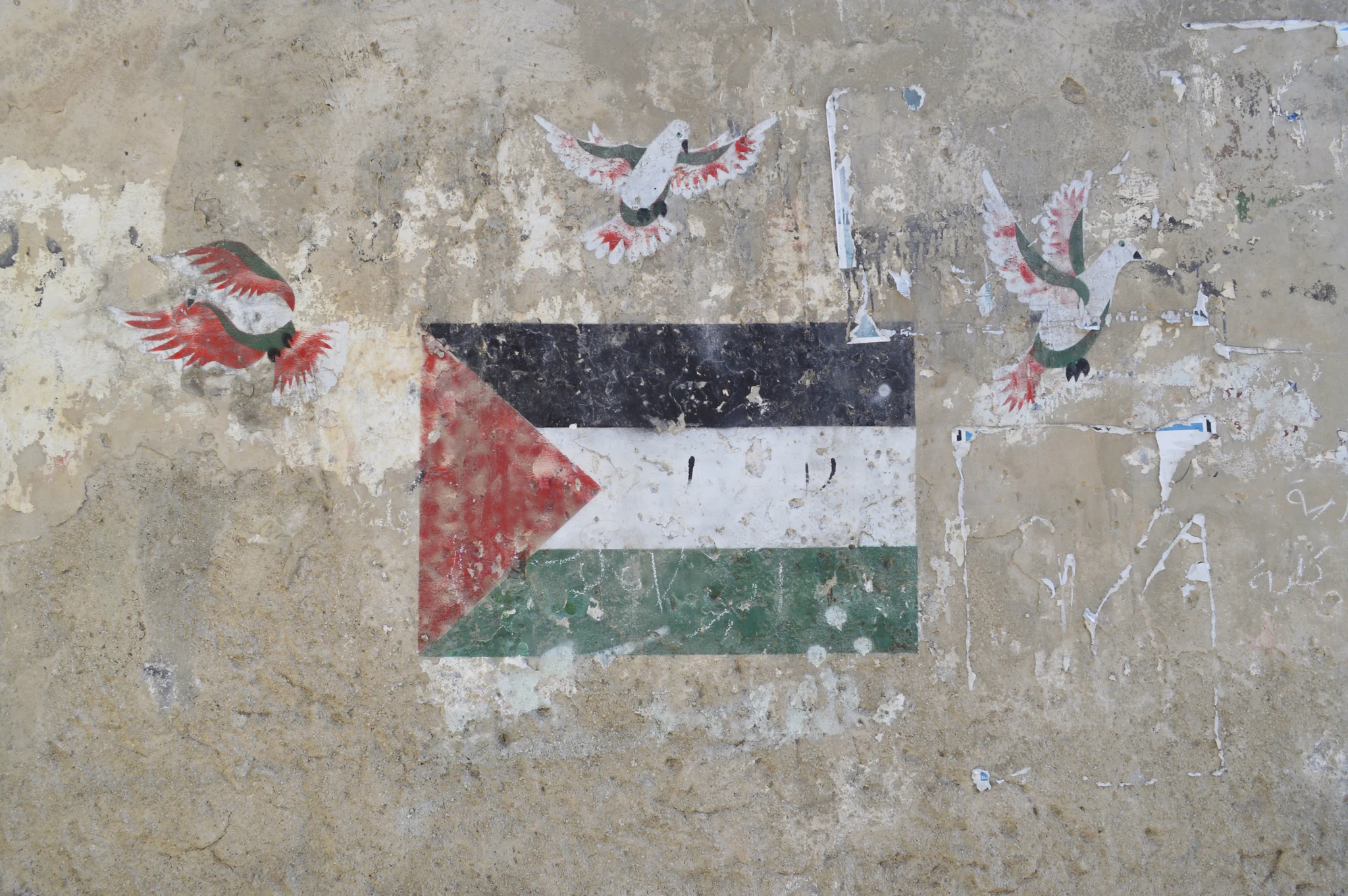 A Palestinian flag painted on a weathered wall, with painted doves in the flag's colors around it