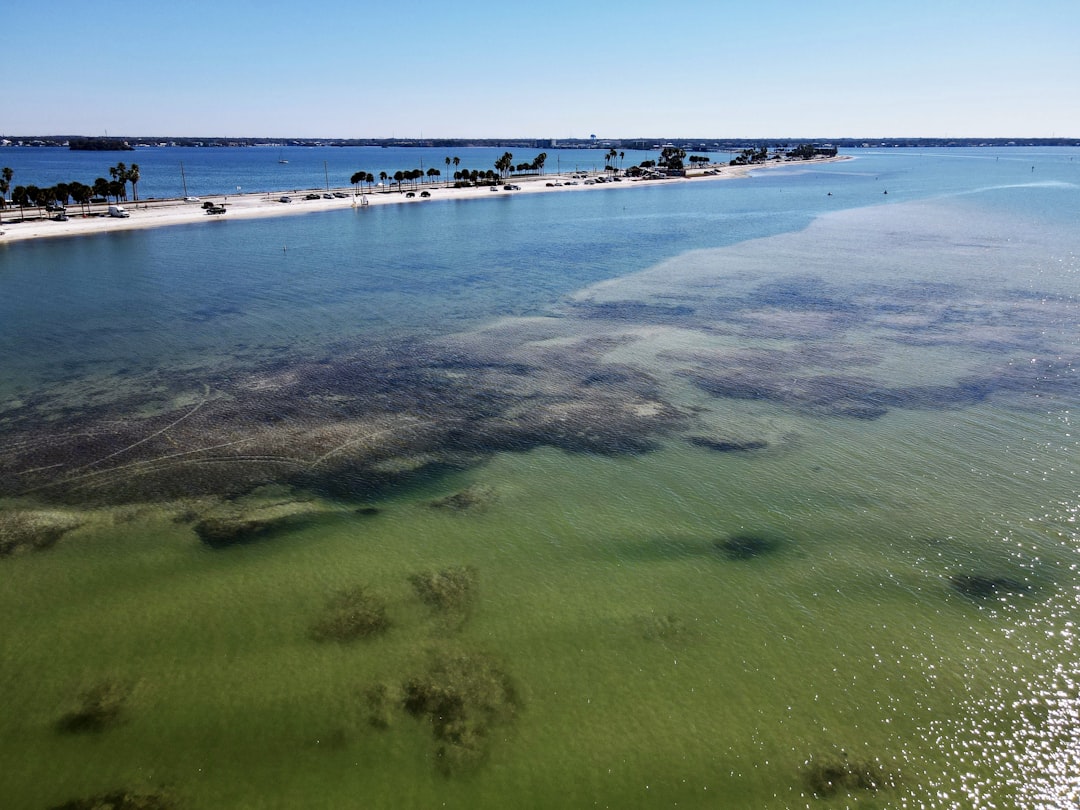 a body of water with a beach in the background, An aerial drone view of Dunedin Causeway beach showing the seagrass at l