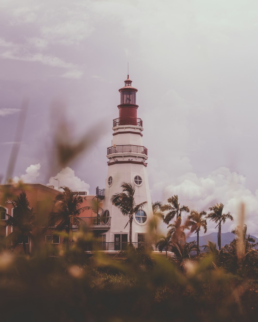 a white and red lighthouse surrounded by palm trees