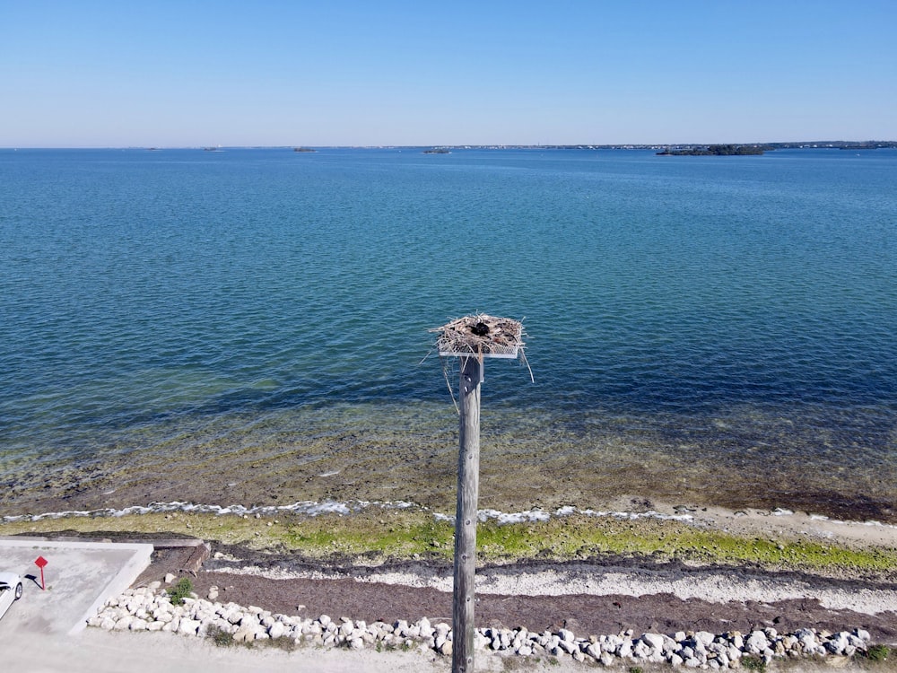 a bird nest sitting on top of a pole next to a body of water