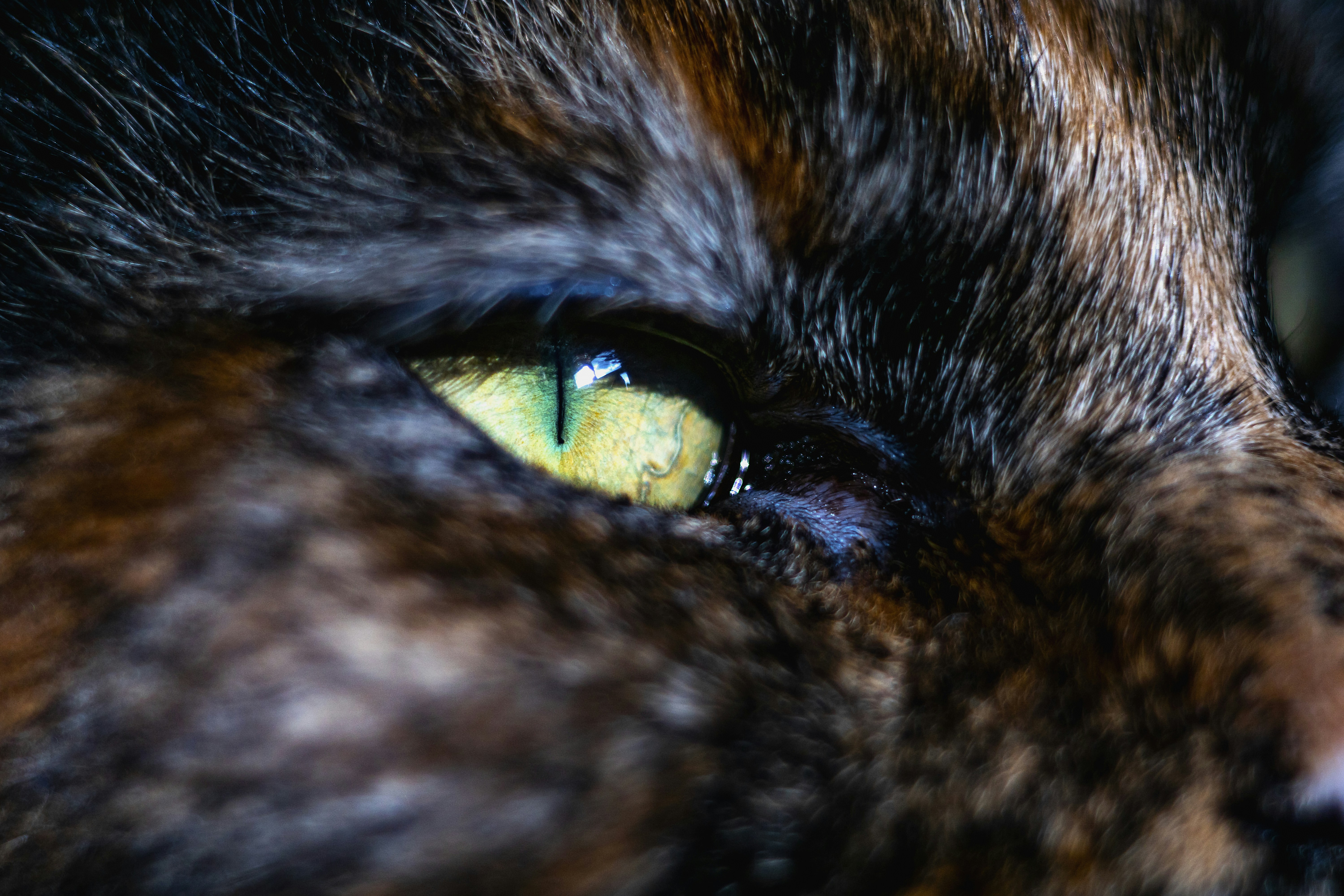 Photo by paveldanilov